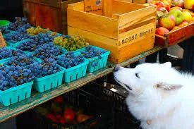Inwoof Fundraiser Weekend