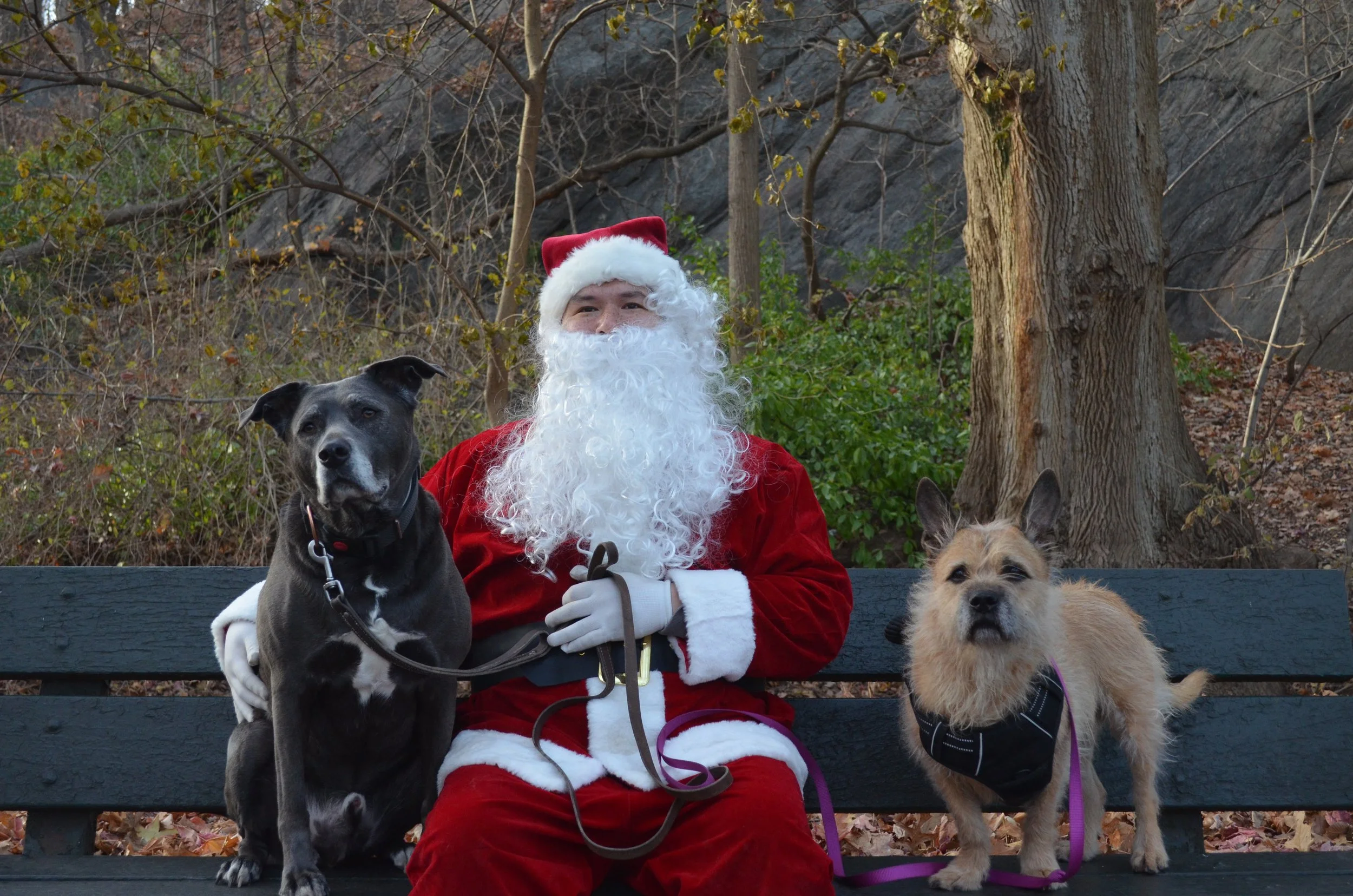 Copy of DSC_5924.JPG