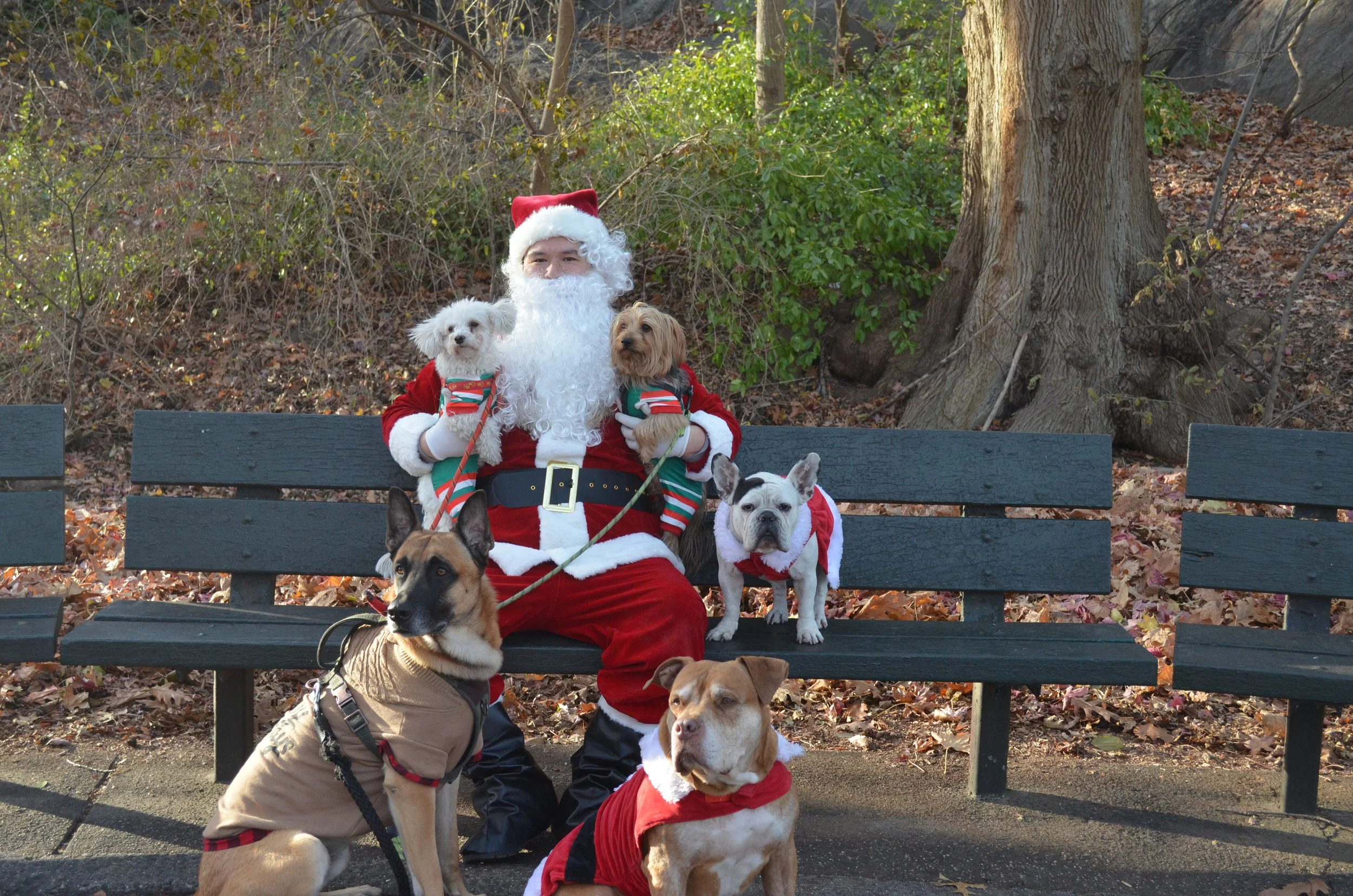 Copy of DSC_5826.JPG