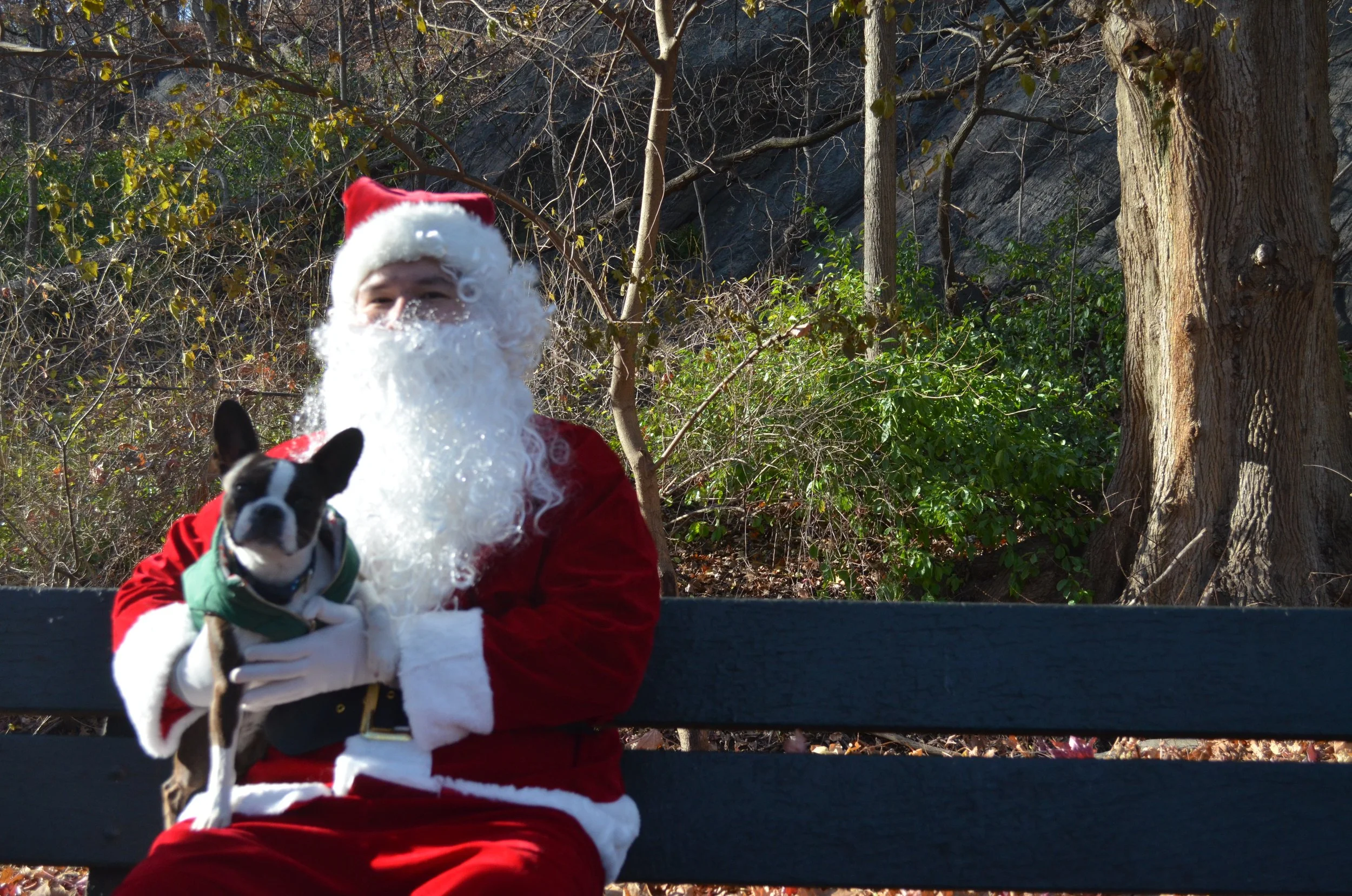 Copy of DSC_5150.JPG