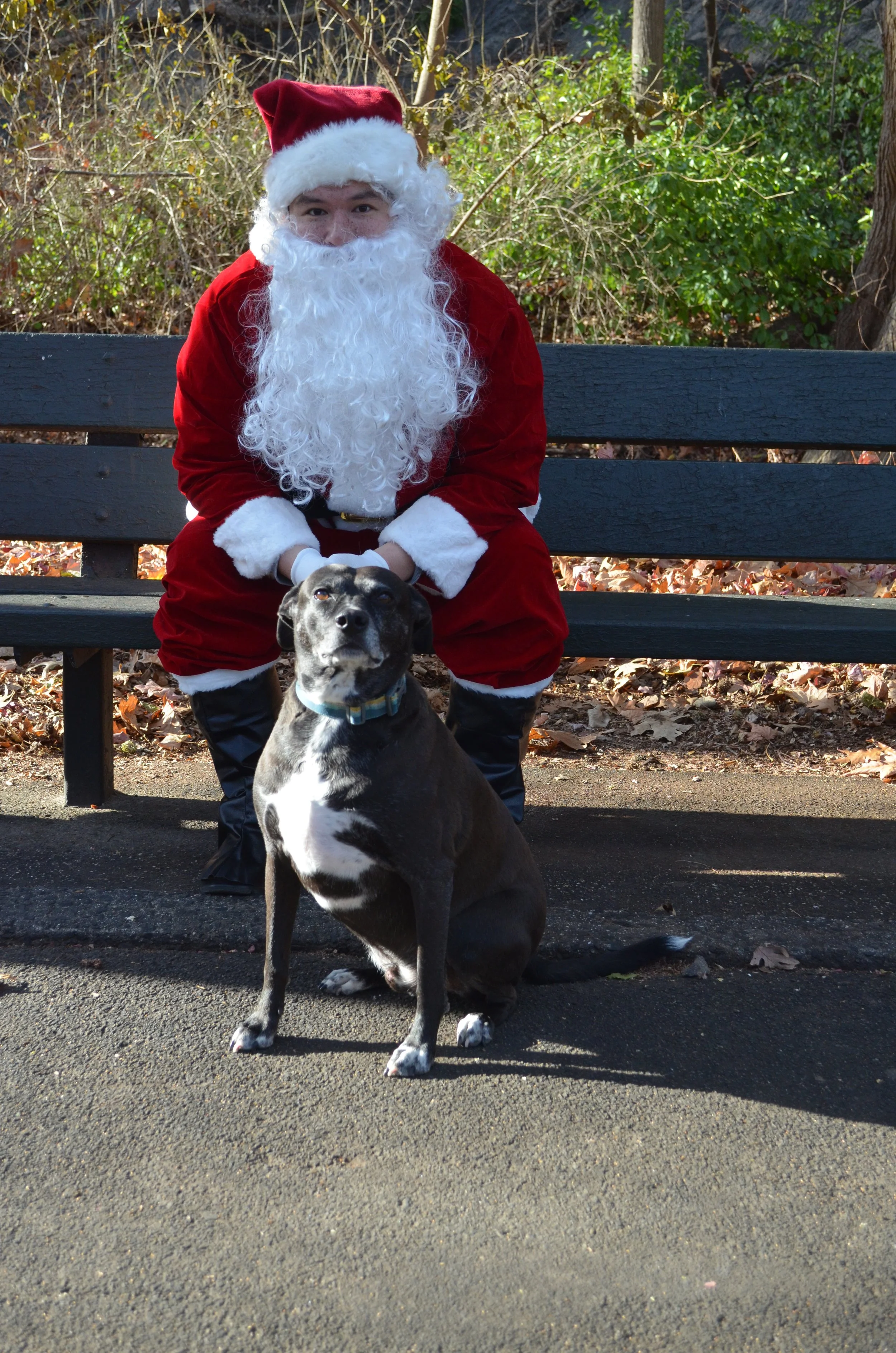 Copy of DSC_5201.JPG