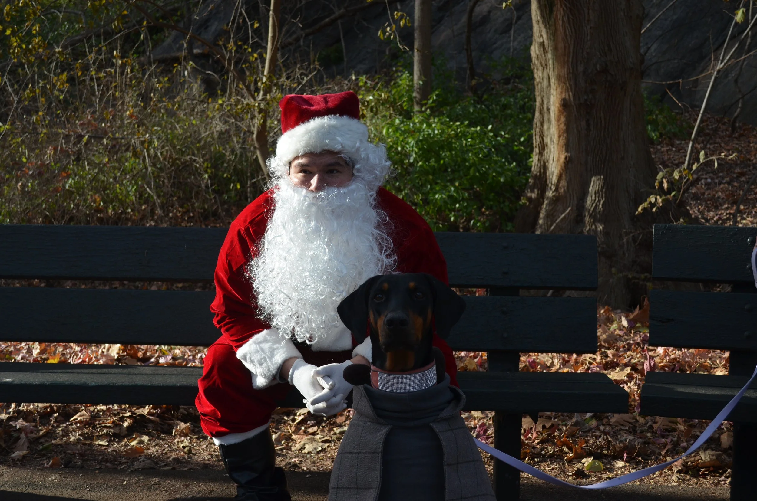 Copy of DSC_5283.JPG