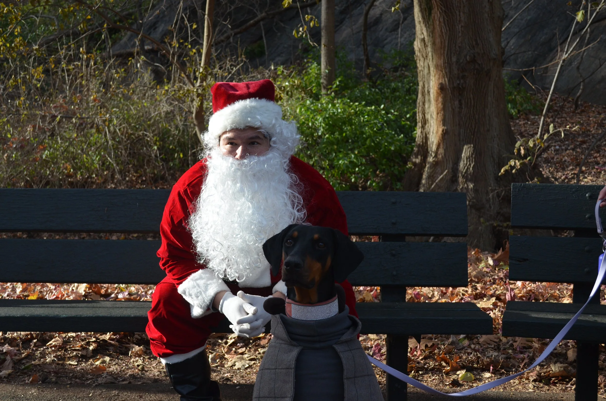 Copy of DSC_5286.JPG