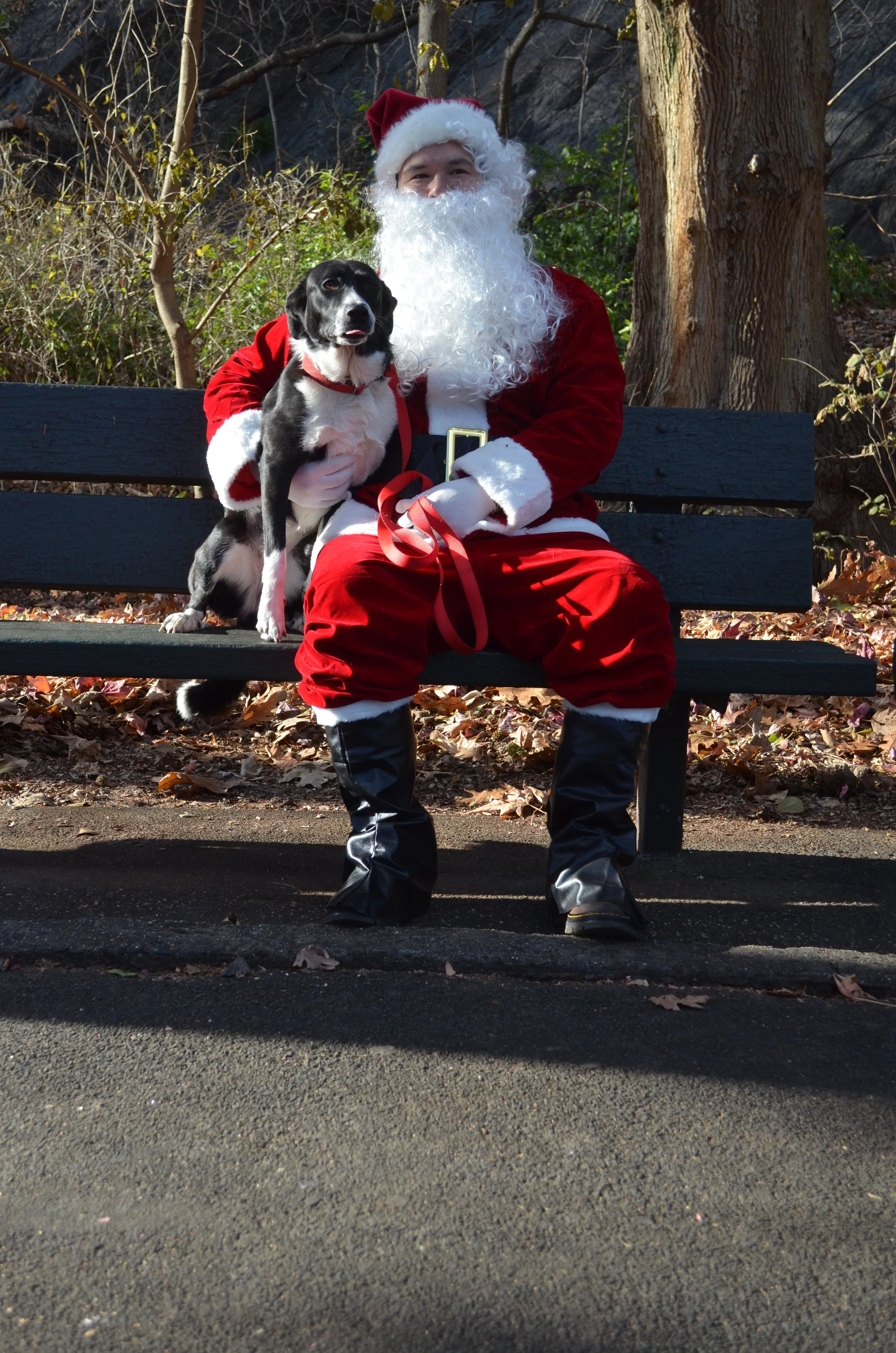 Copy of DSC_5217.JPG