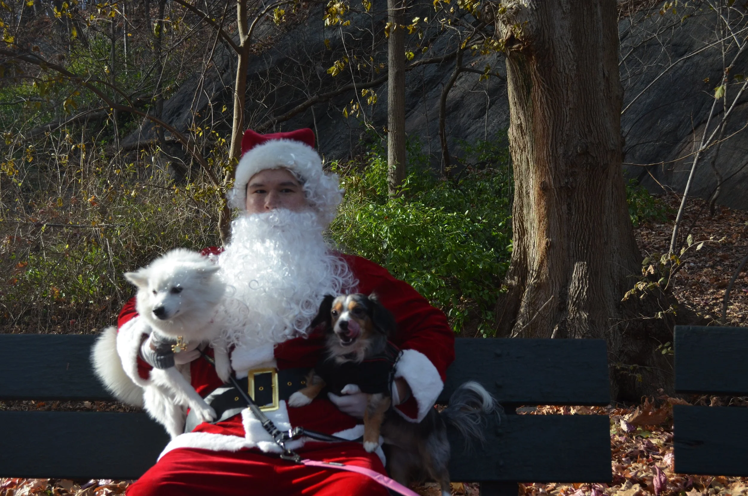 Copy of DSC_5278.JPG