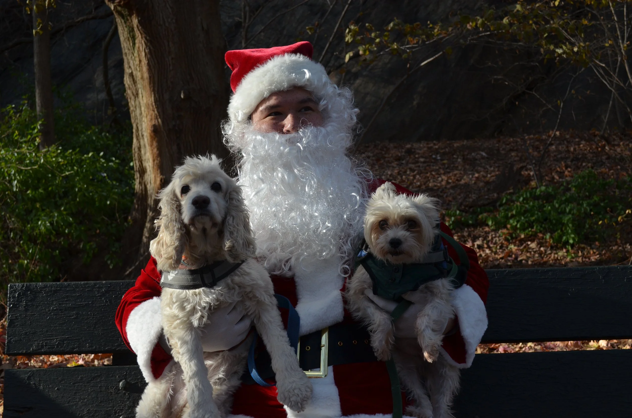 Copy of DSC_5382.JPG