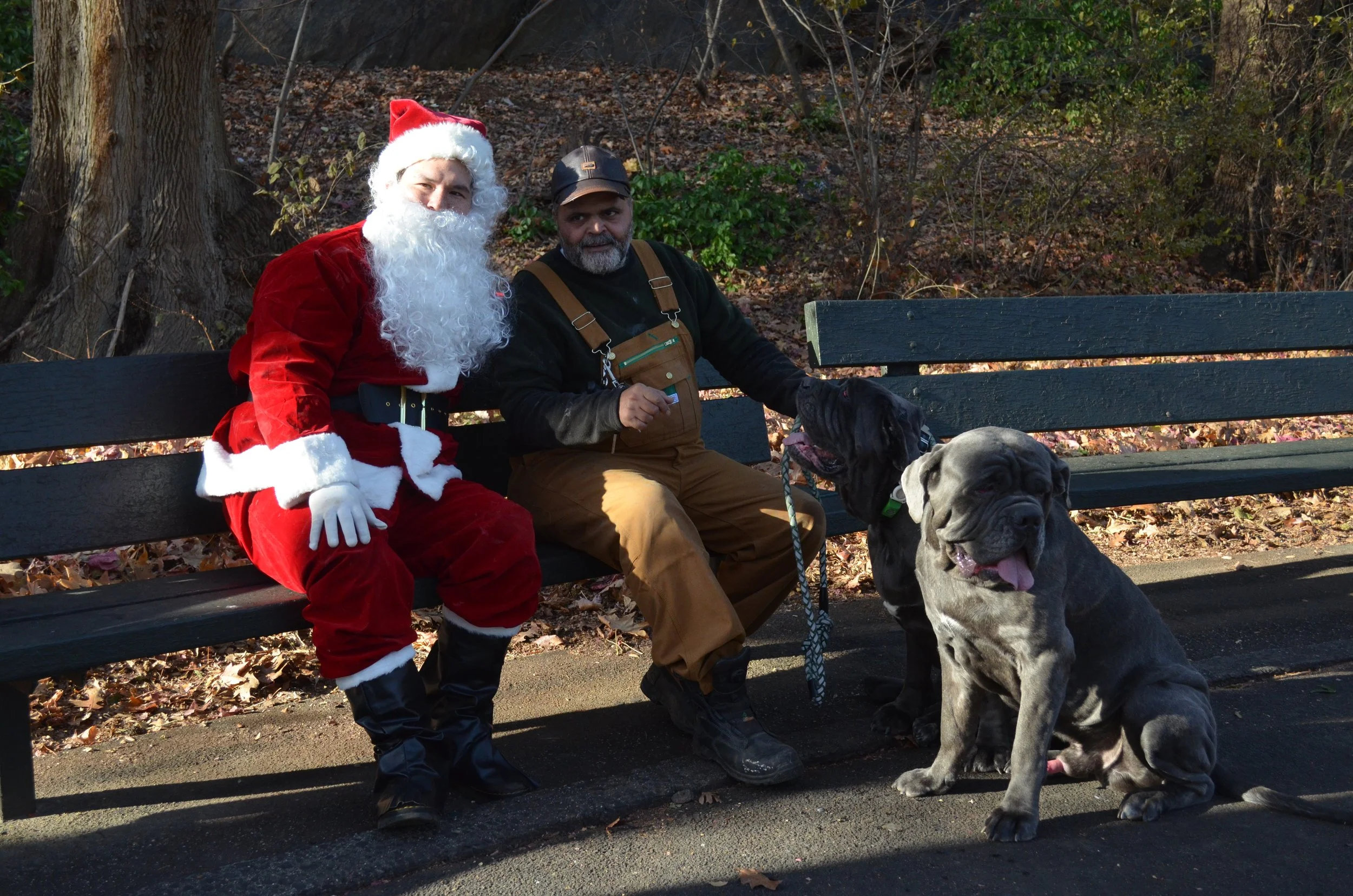 Copy of DSC_5506.JPG