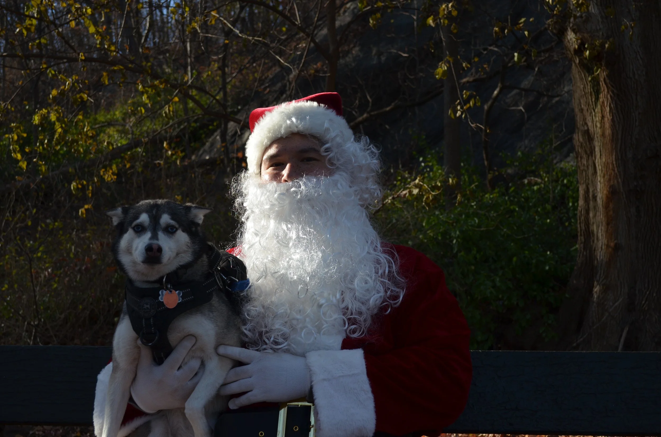 Copy of DSC_5587.JPG