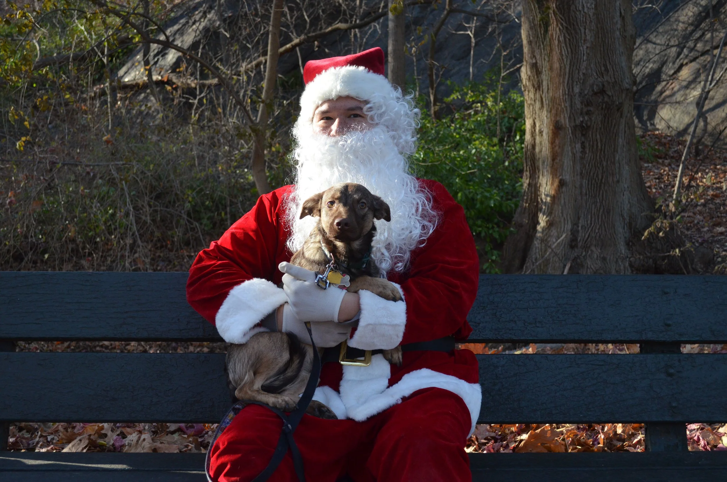 Copy of DSC_5635.JPG