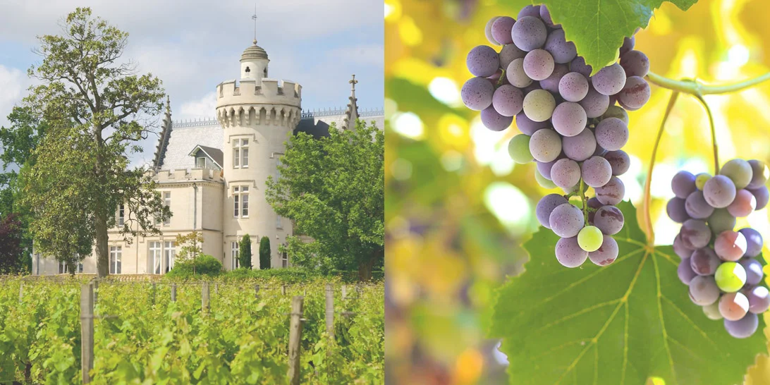 wine17-5.jpg