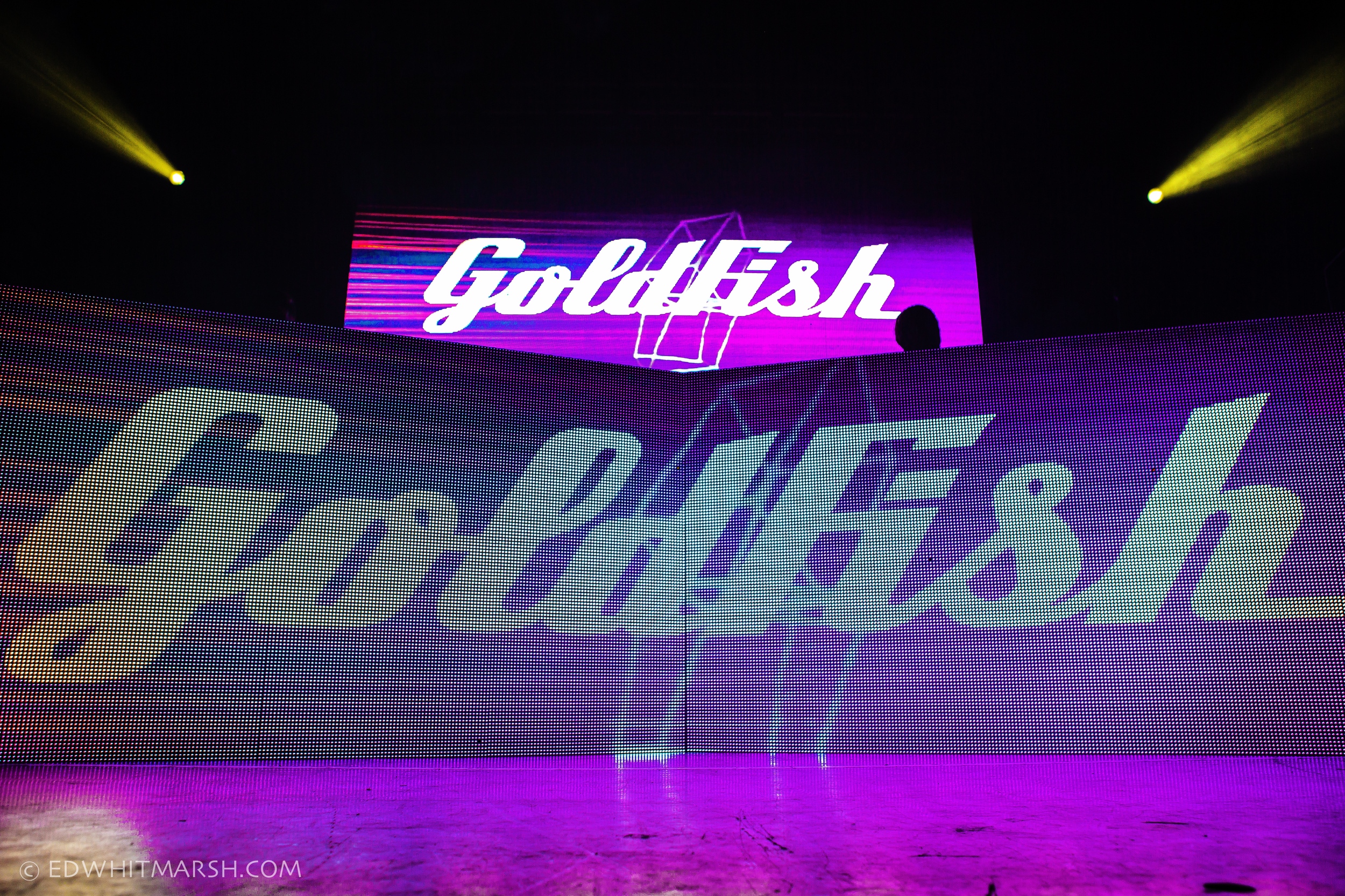GOLDFISH - CORONET