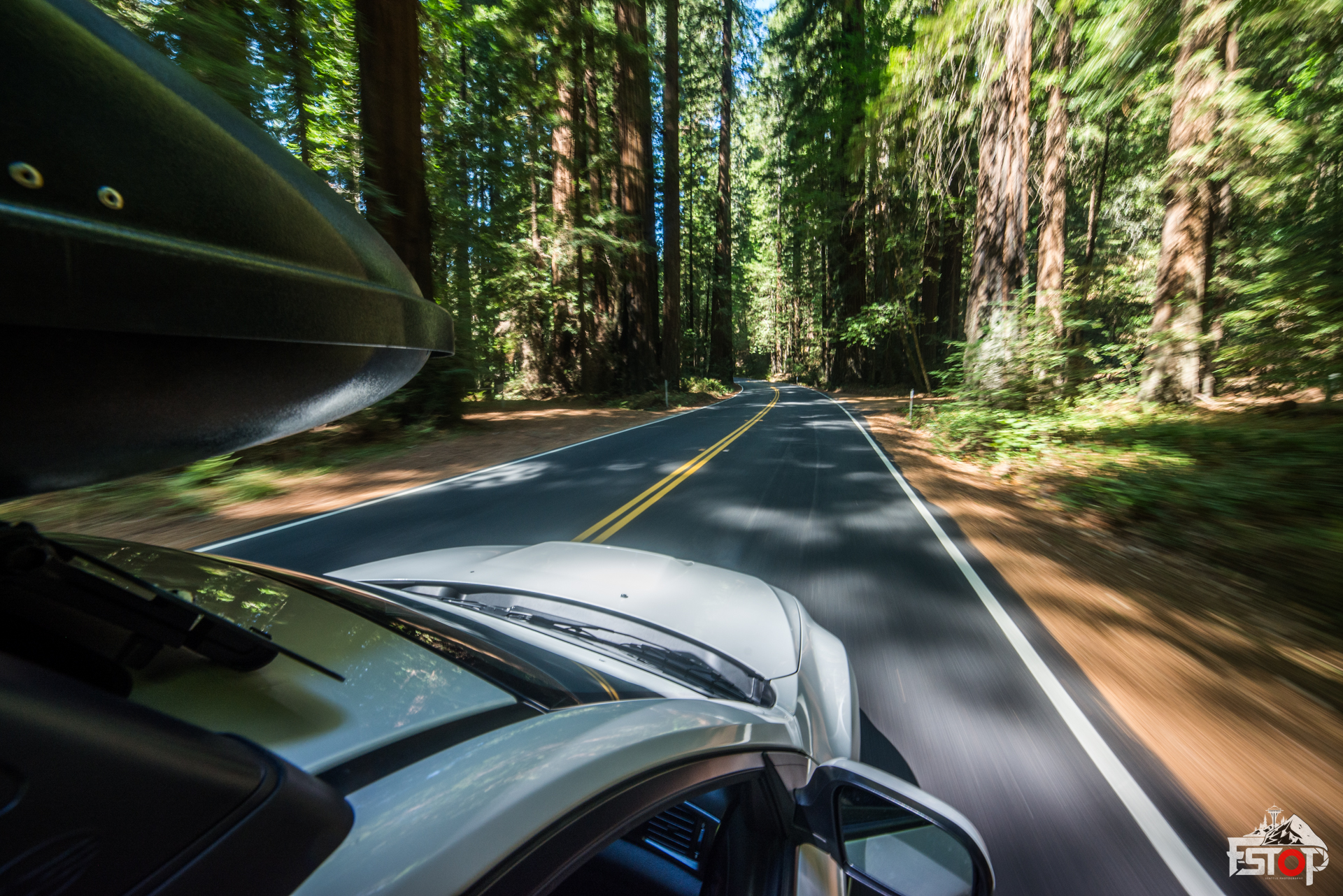 Driving through the Redwoods