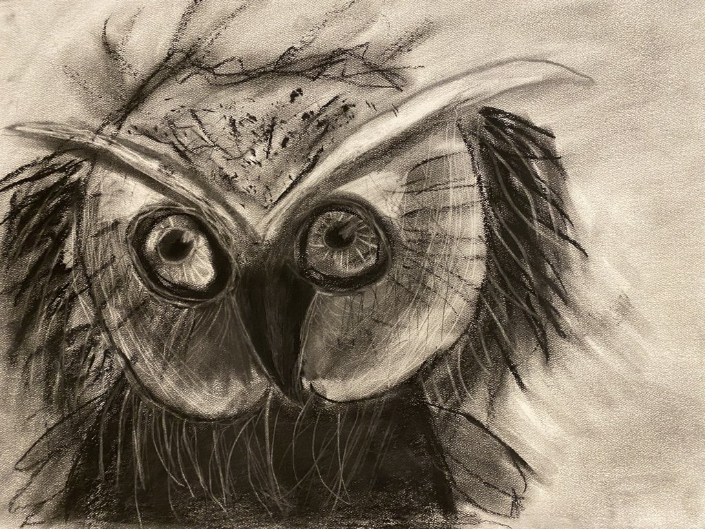 How to Draw an Owl - An Owl Drawing Tutorial for Beginners