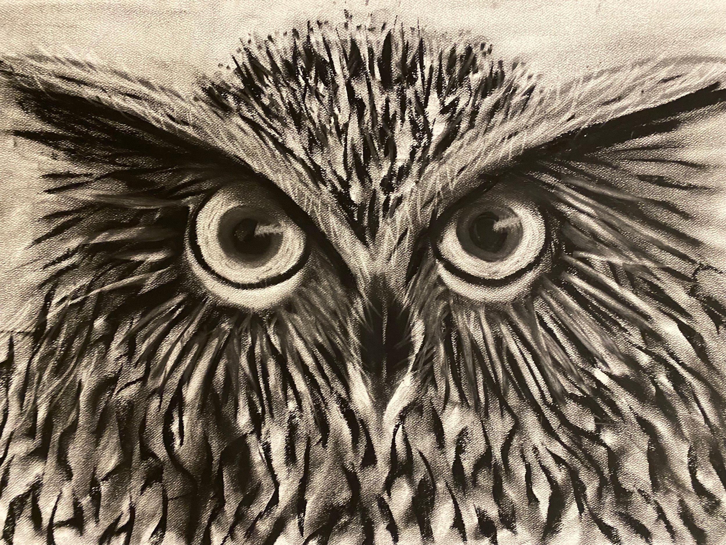 Realistic owl drawing - natural history' Two-Tone Mug | Spreadshirt