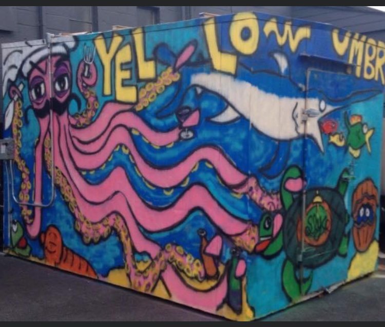 Yellow Umbrella Provisions 