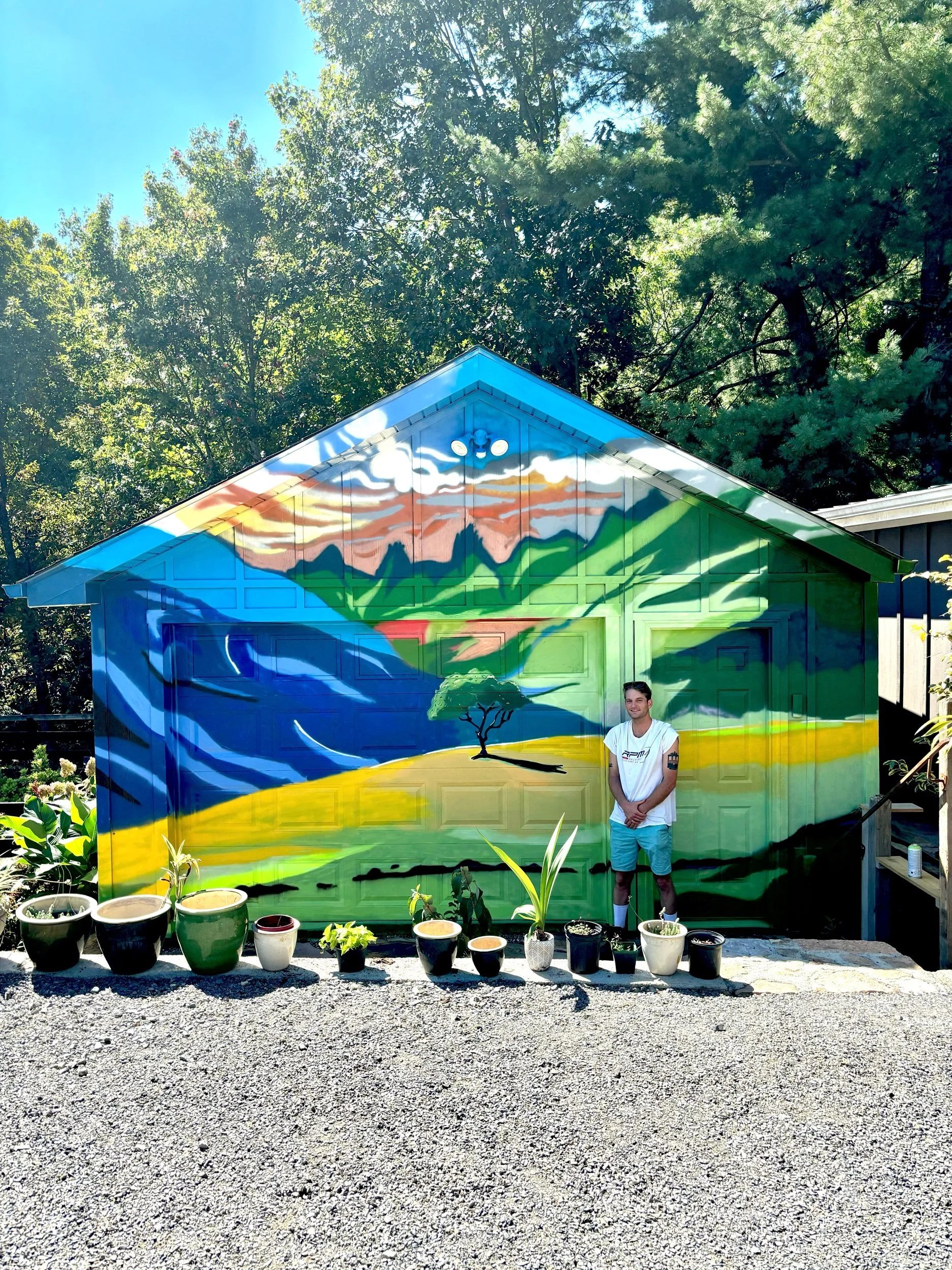 A Lone Standing Tree 