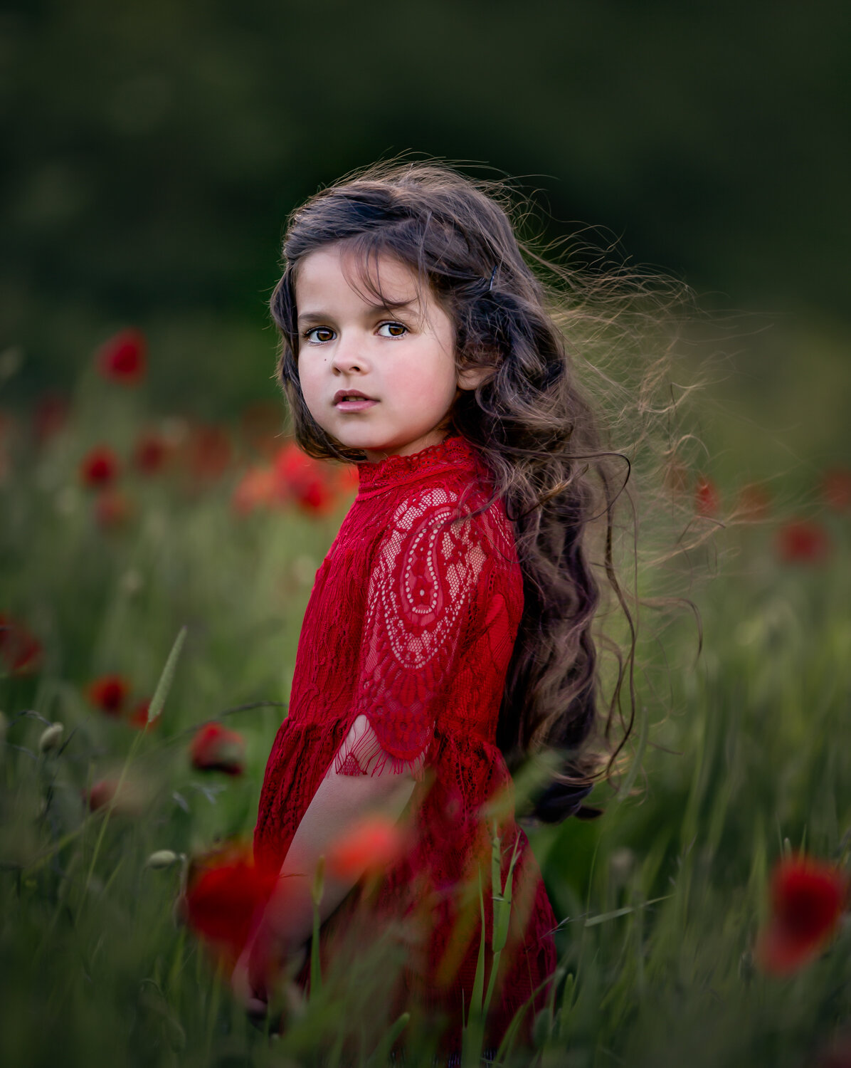 berkshire family photographer little girl in poppy field portrait