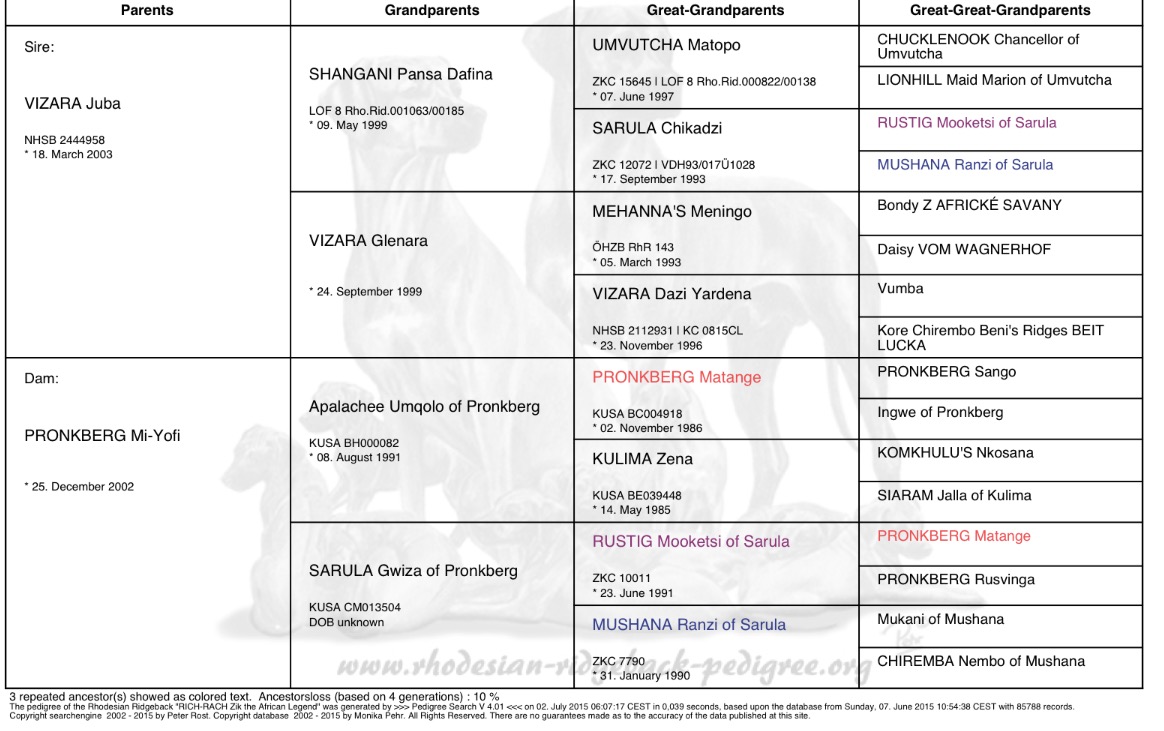 rhodesian ridgeback pedigree