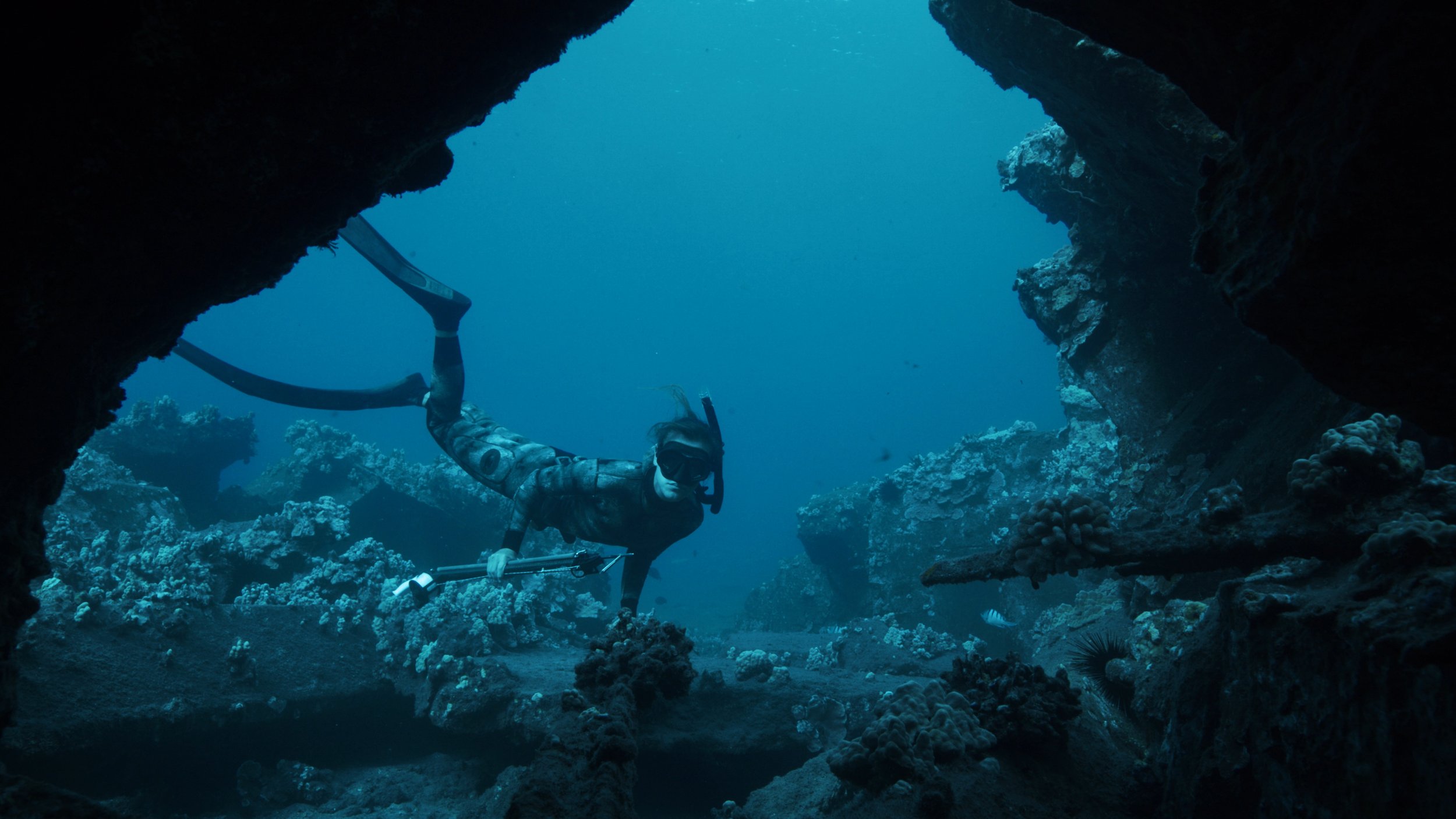 MauiSharkMystery_UHD_Screengrab_01_02_50_08_Still004.jpg