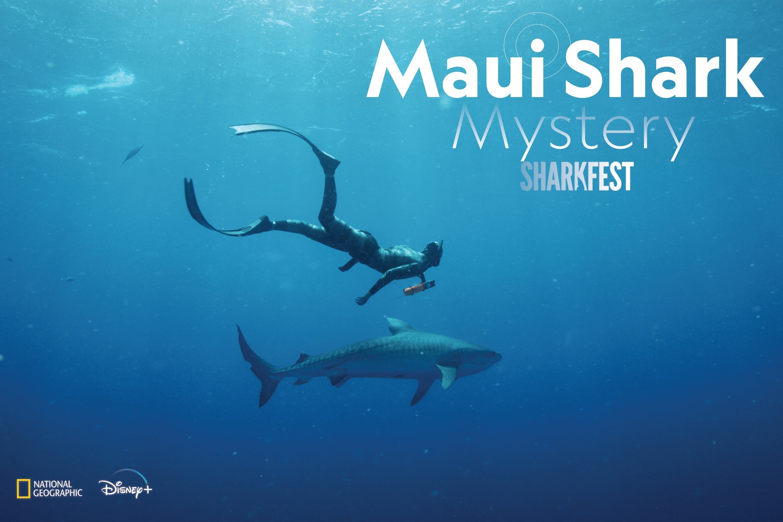 1_Maui+Shark+Poster.jpg