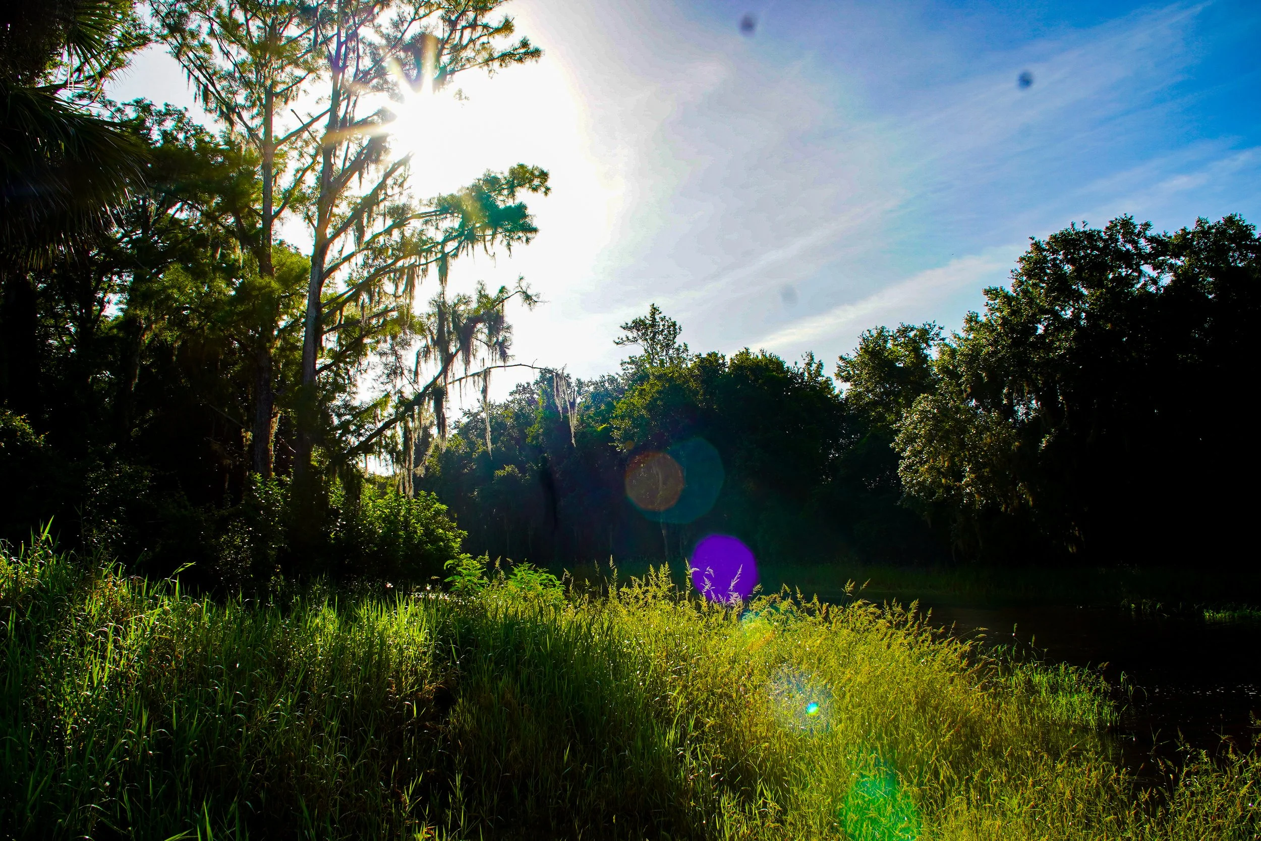EVERGLADES_PRODUCTION STILL_13.jpg