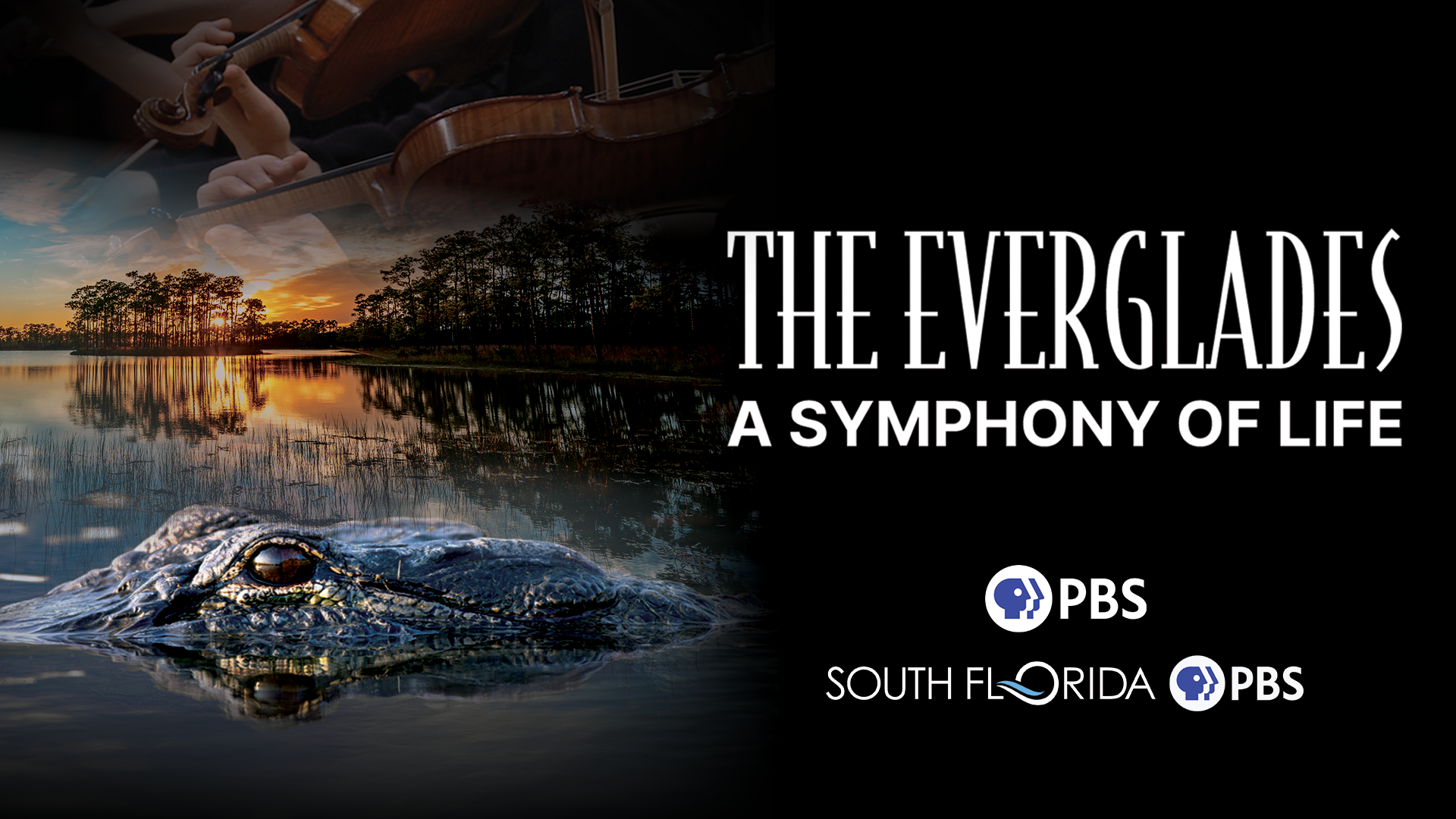 Everglades Website_Horizontal_Logos.png