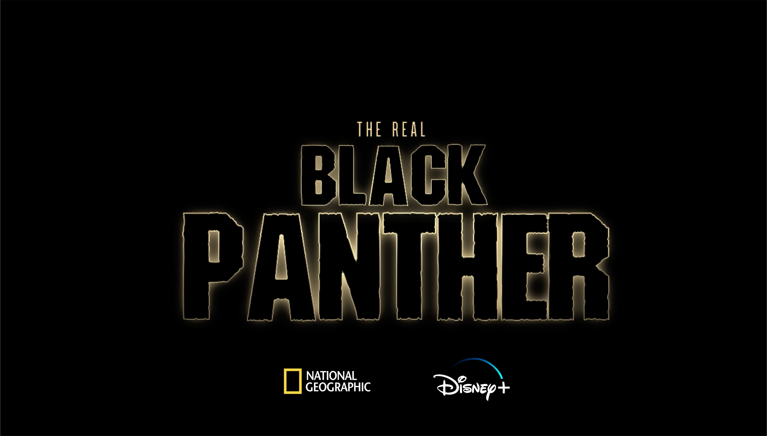 black+panther_for website.png