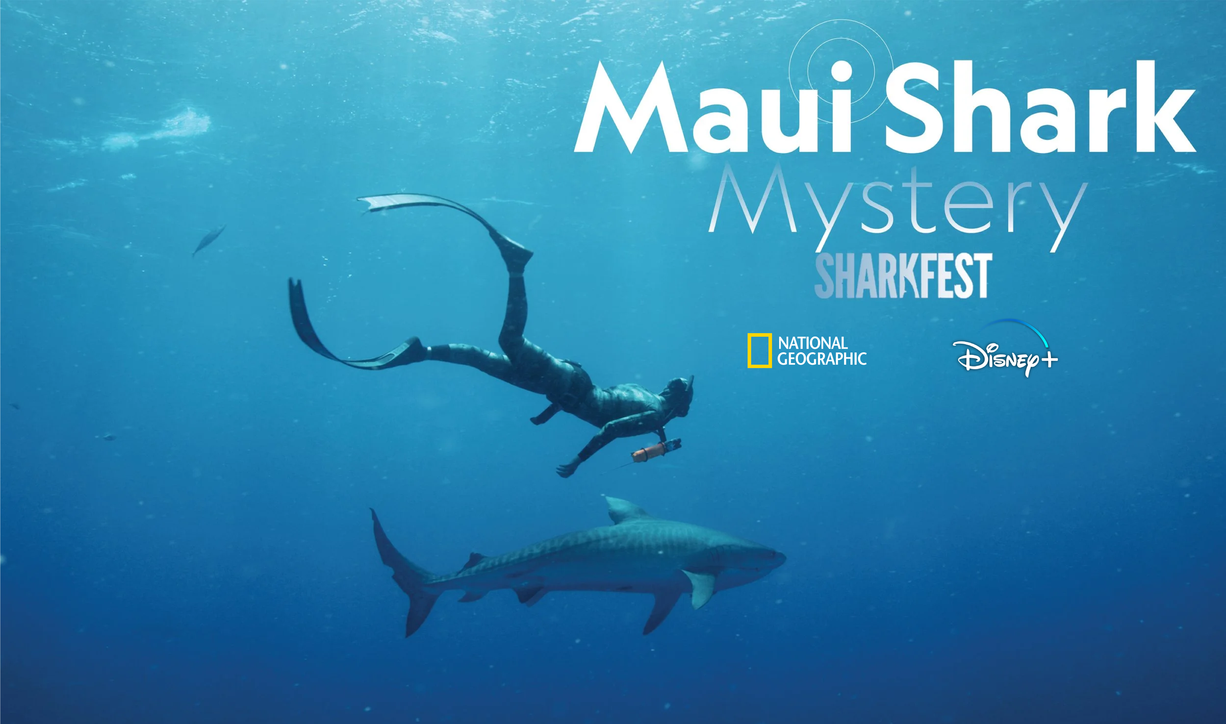 1_Maui+Shark+Poster.png