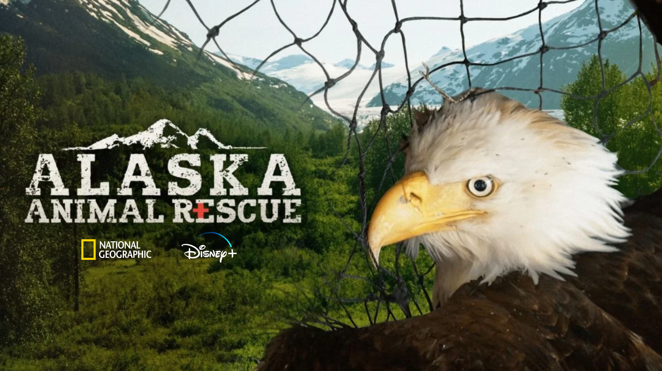Alaska Animal Rescue_for website.png
