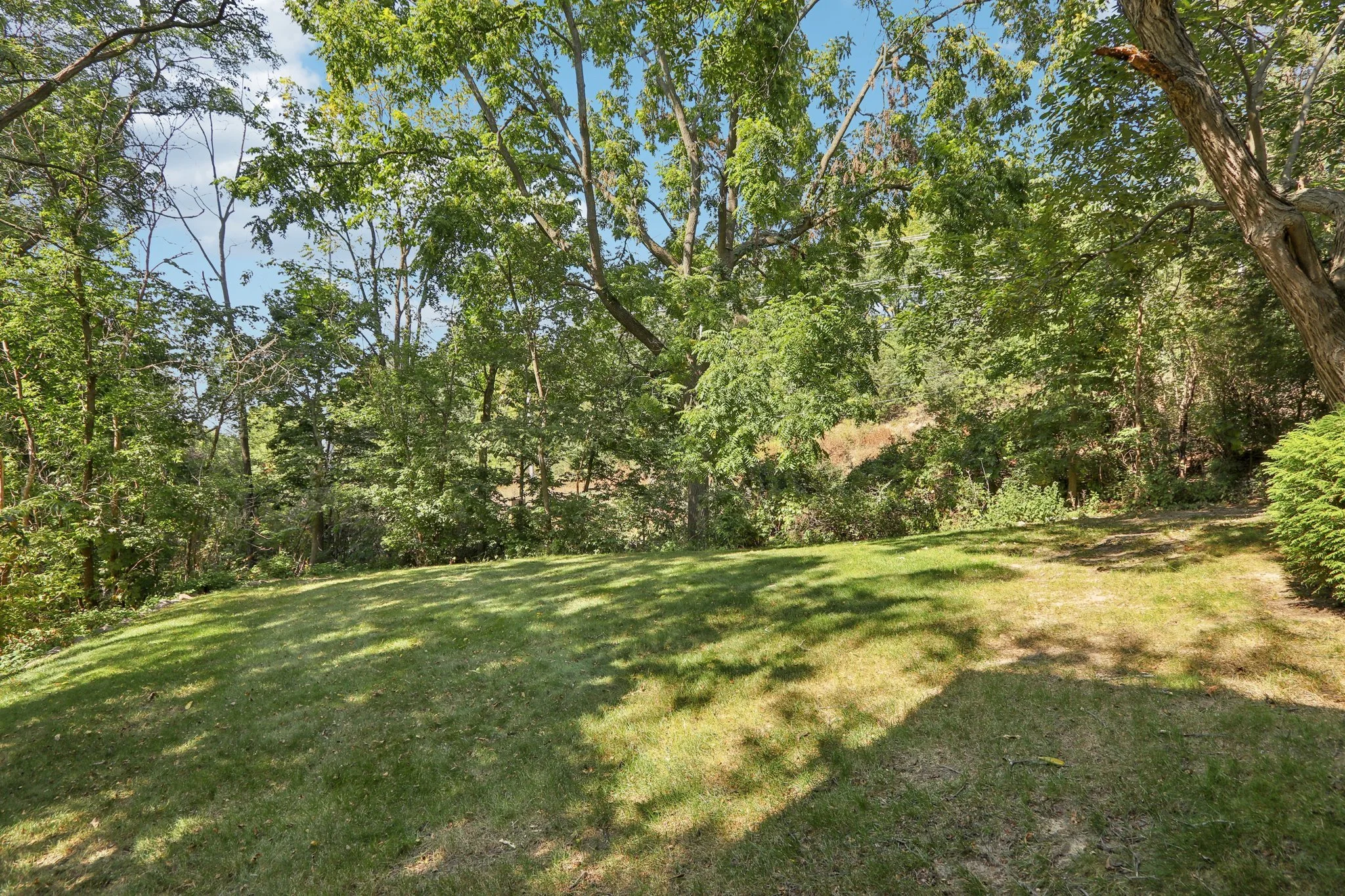 63-web-or-mls-Quail Hollow Ct a-S1209-063.jpg