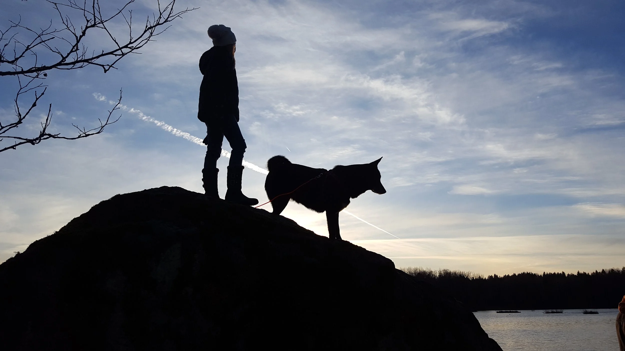 It may sound like a lot of work, but if you have a best friend, or ever had one, you know you are entirely capable. It is never too late, your situation is never too dire, and your dog is never too old.