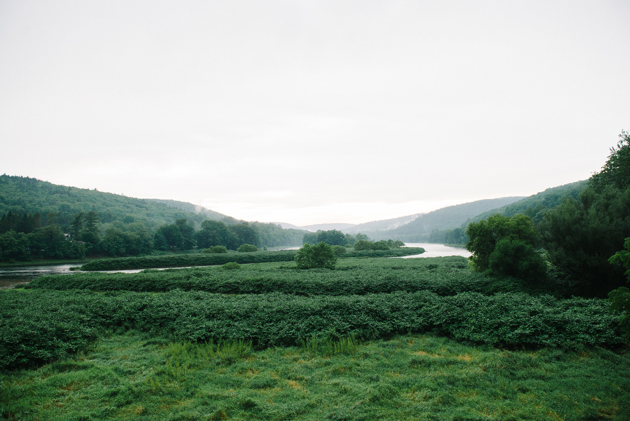2017_SandySooHoo_CALLICOON_002.jpg