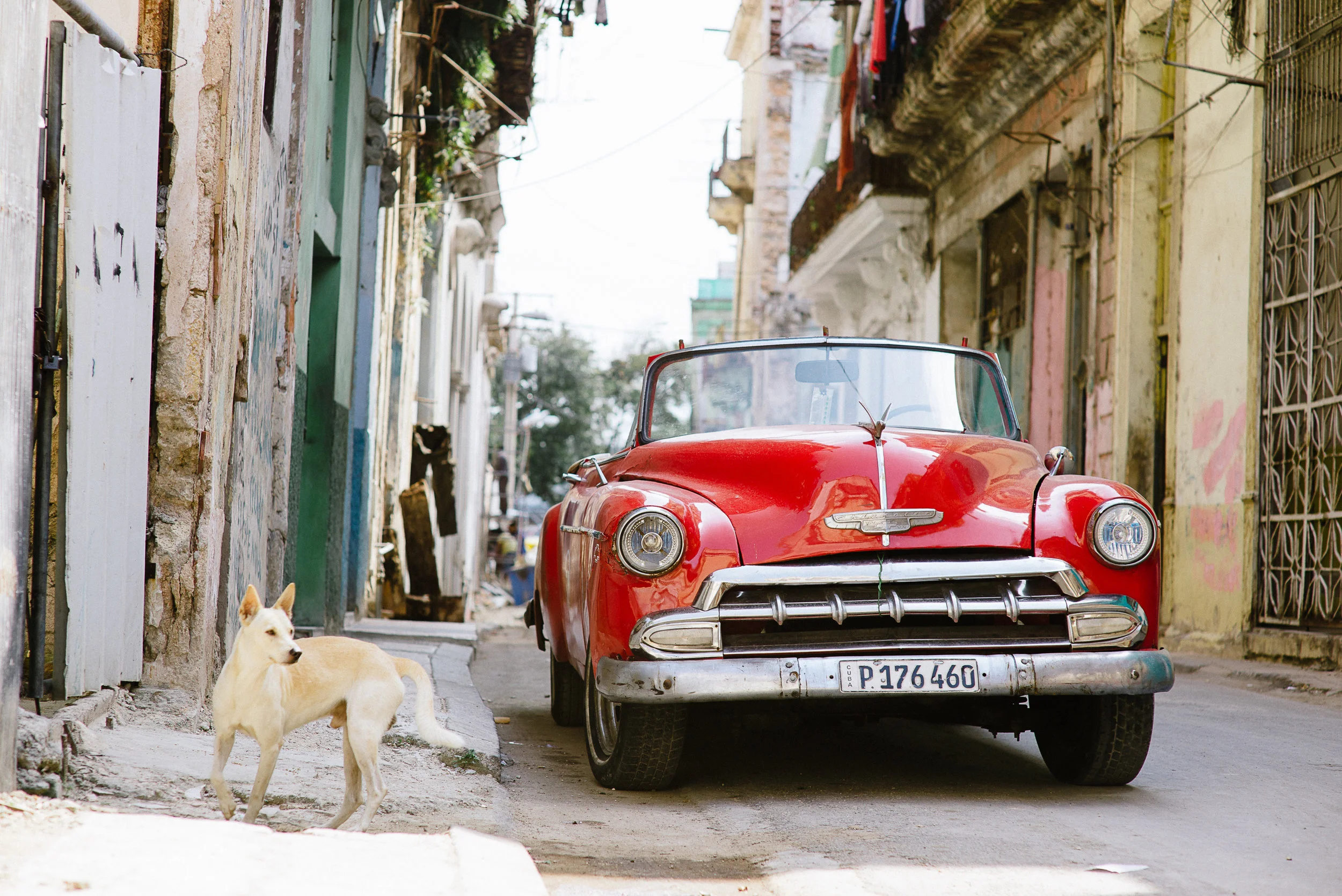 Havana_109.jpg