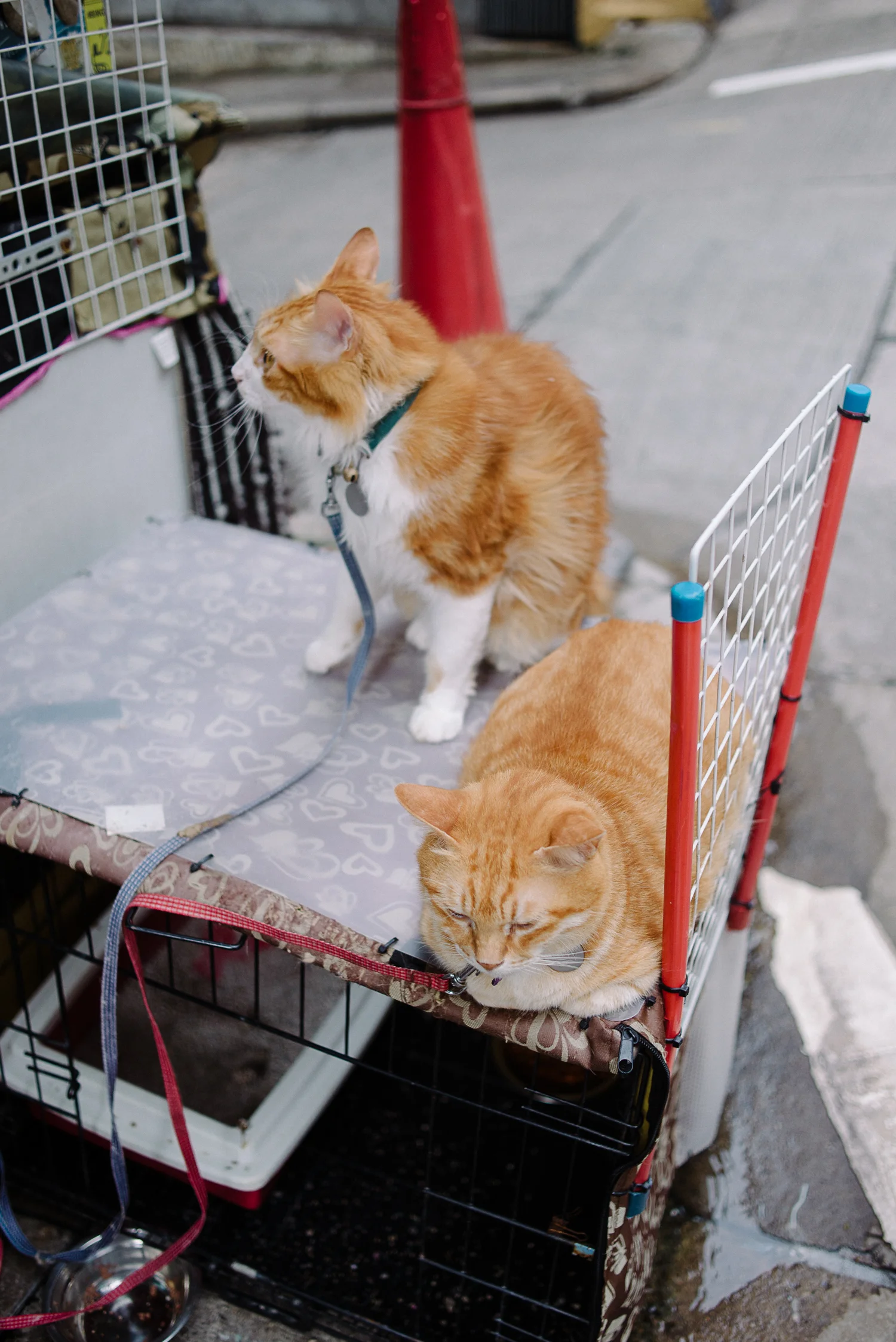 Sandy_SooHoo_TRAVEL_STORY-85.jpg