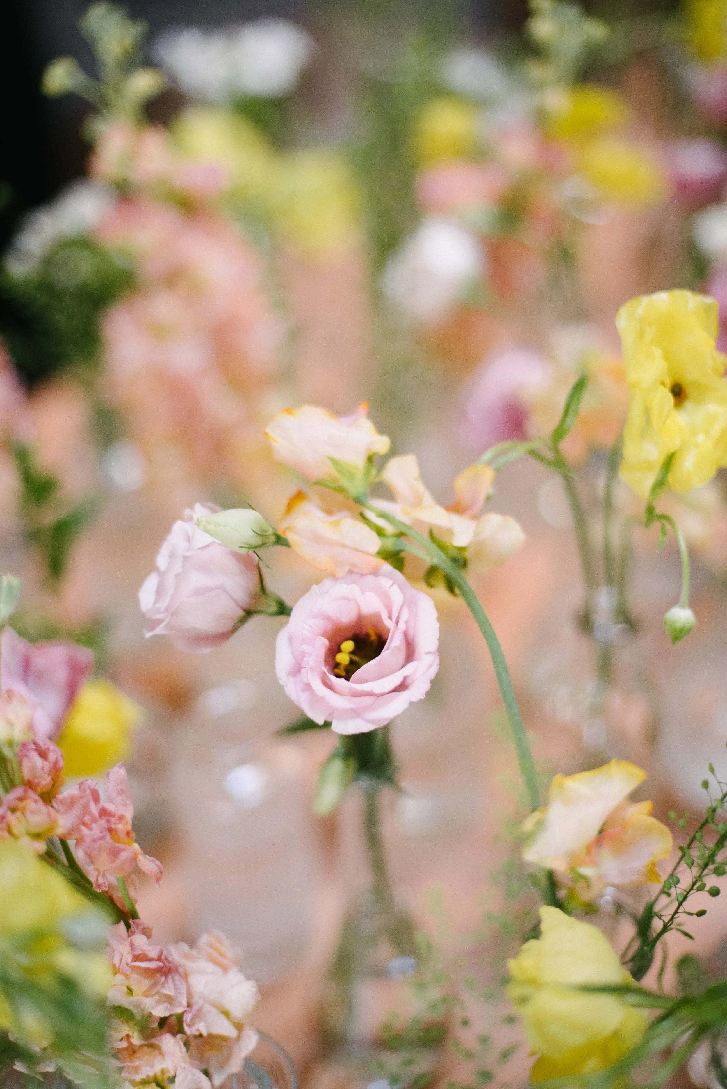 NYC_Wedding_Photography_Dobbin_Street_Brooklyn_Sandy_SooHoo_01.JPG