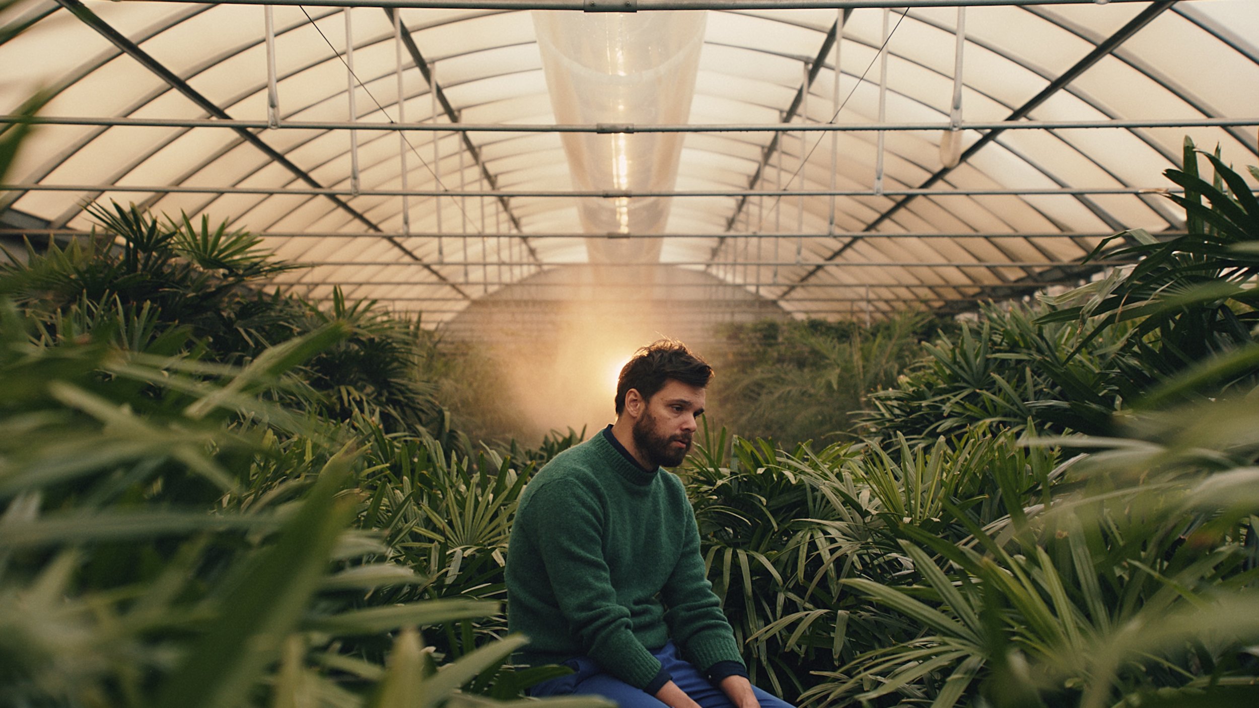 Dirty Projectors - Little Bubble