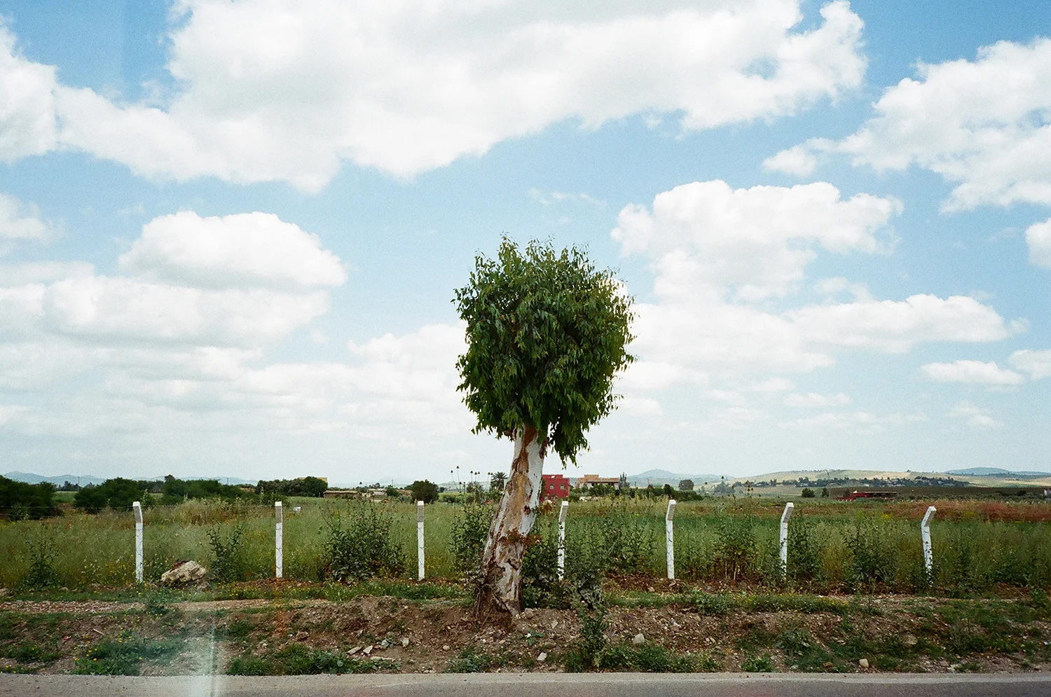 morocco_35mm_068.jpg