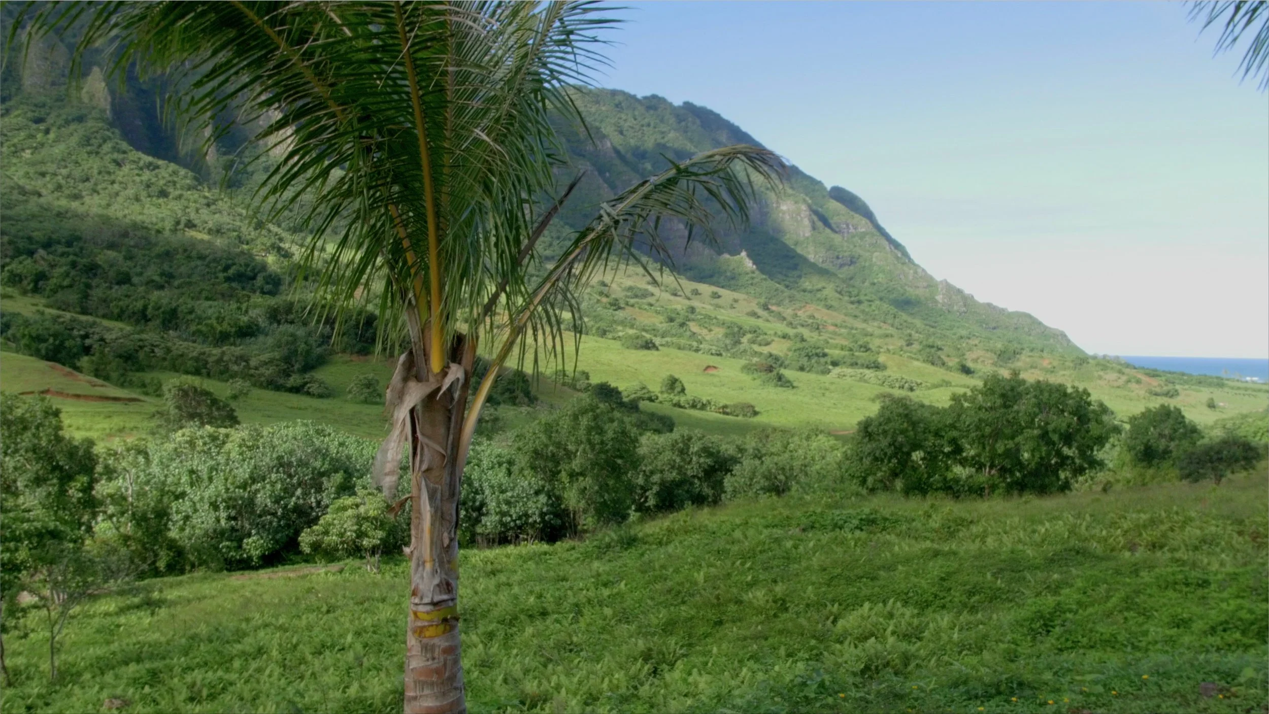 Screen Shot 2018-02-11 at 9.39.23 PM.JPG