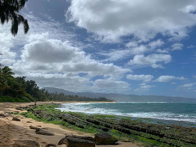 North shore kinda day #alohakeakua #broll #onlocation #videographerlife