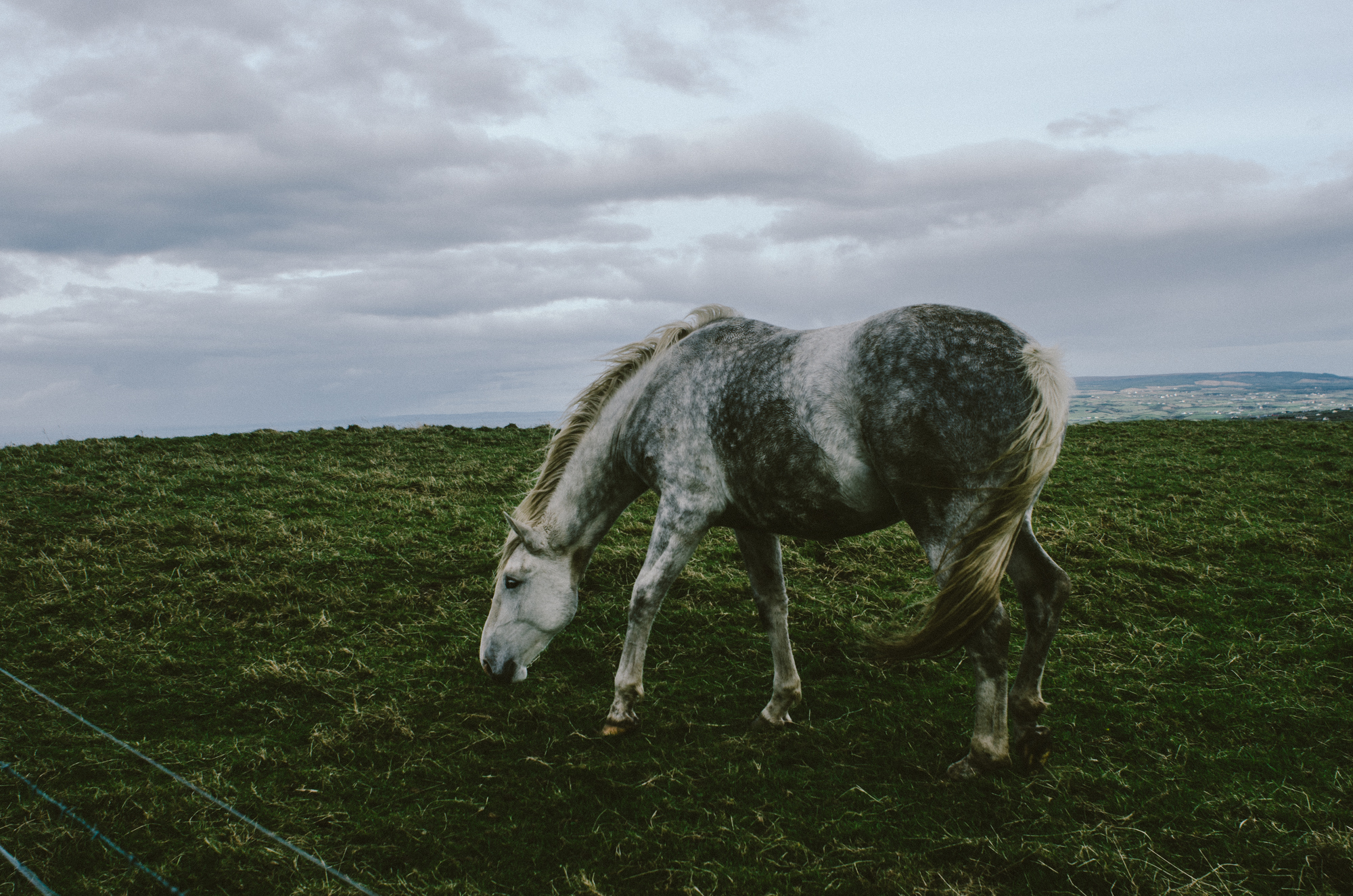 Cliffs of Moher, Ireland