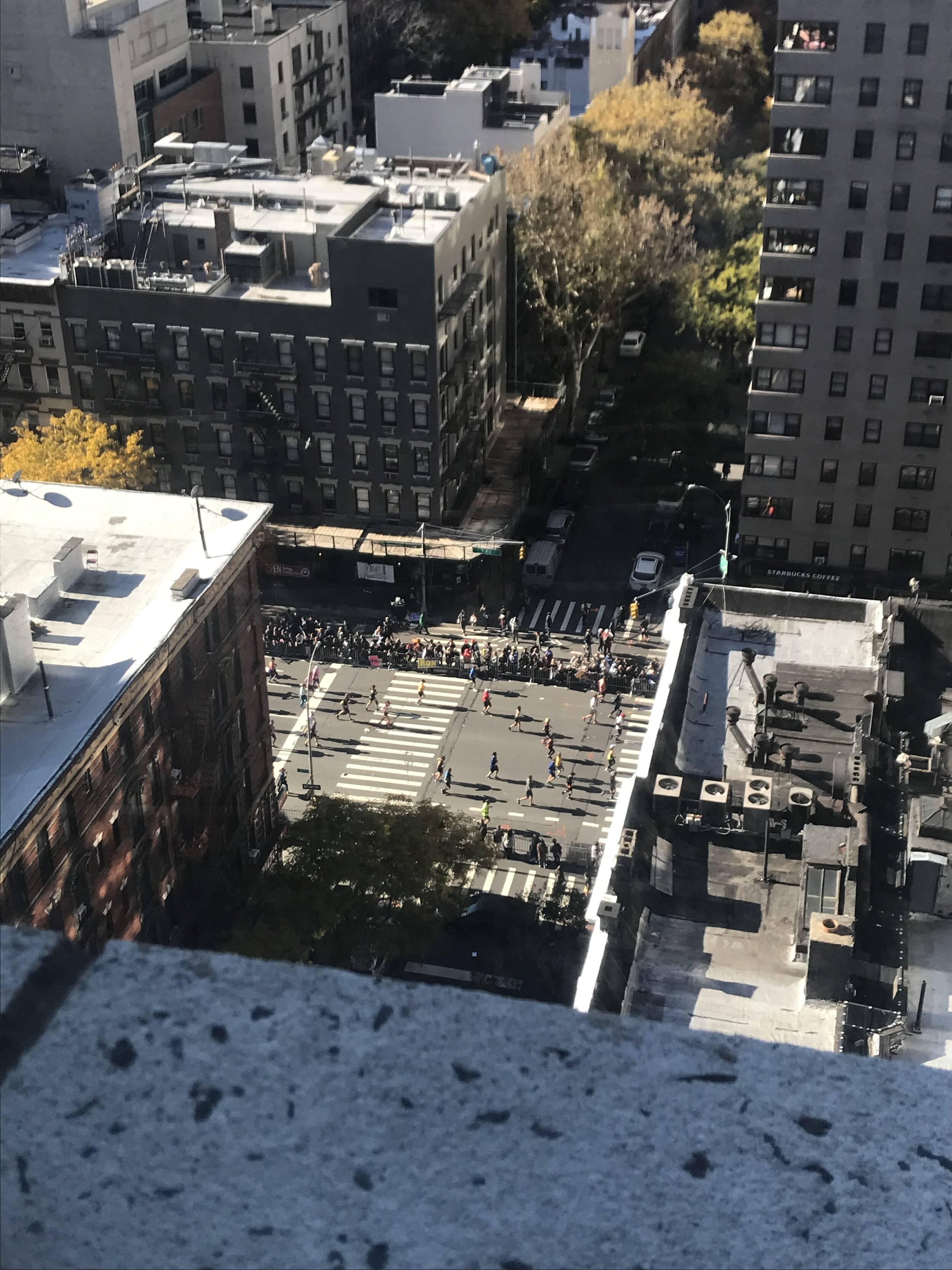  We can watch the NYC marathon from the lab.   November 2018 