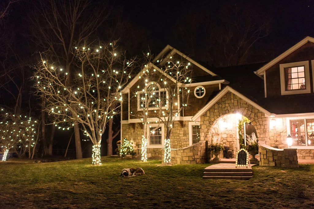 MoB_Holiday_004.jpg