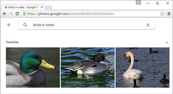 Google+ Photo Search… it’s, uh, scary impressive. And useful.