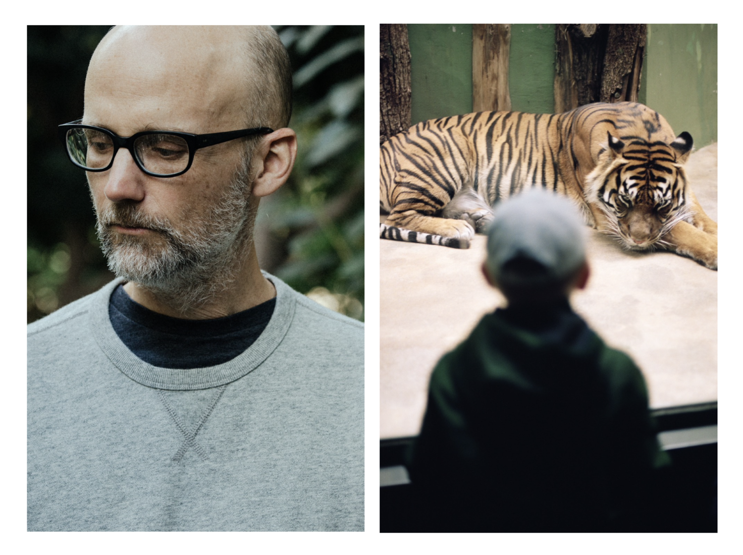 THE LOST EXPLORER - MOBY