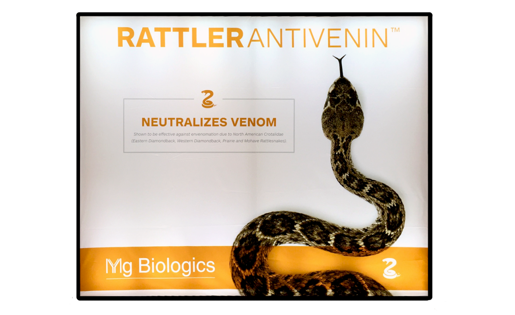 Rattler.png