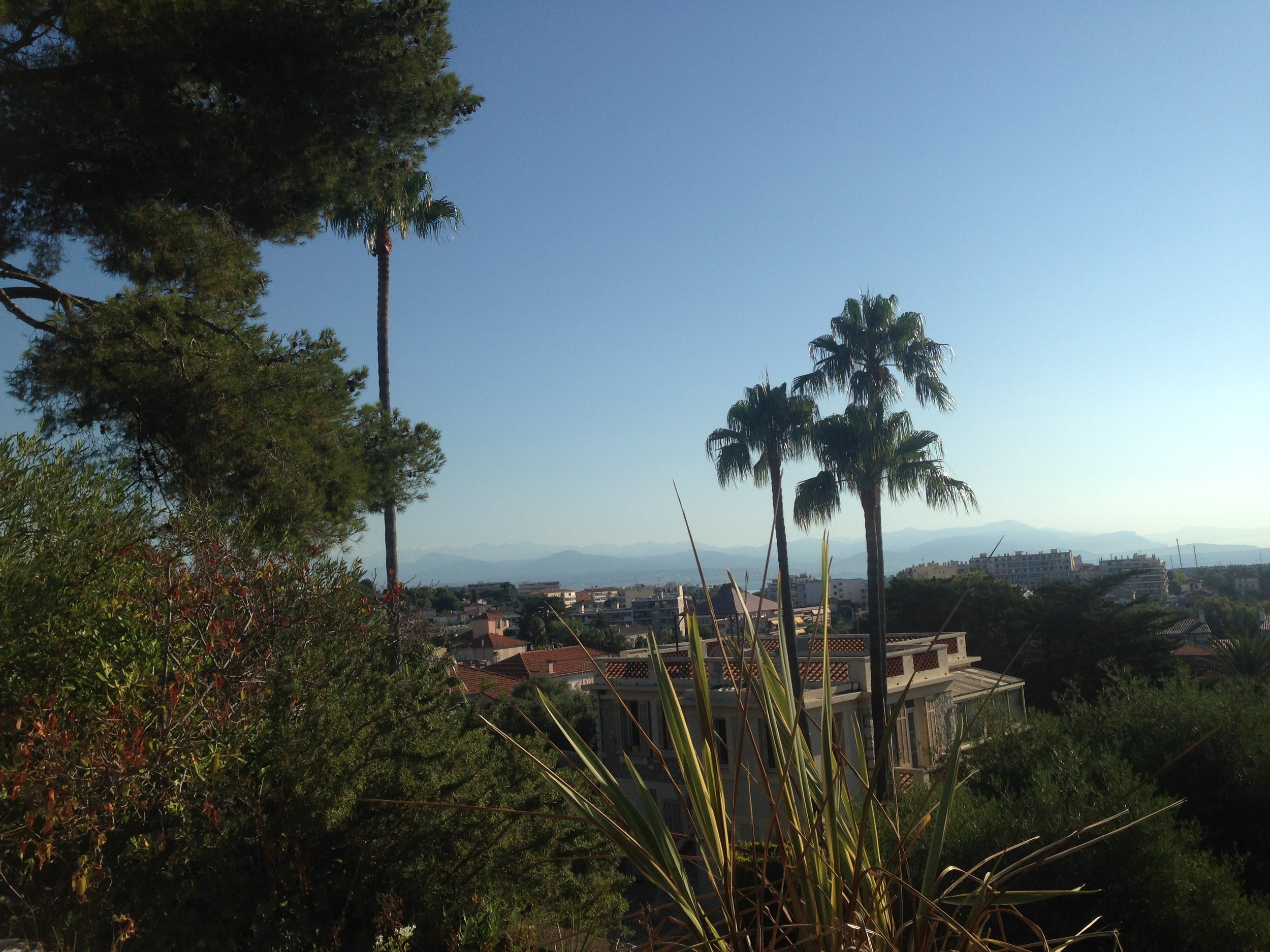 View from the school cafeteria.