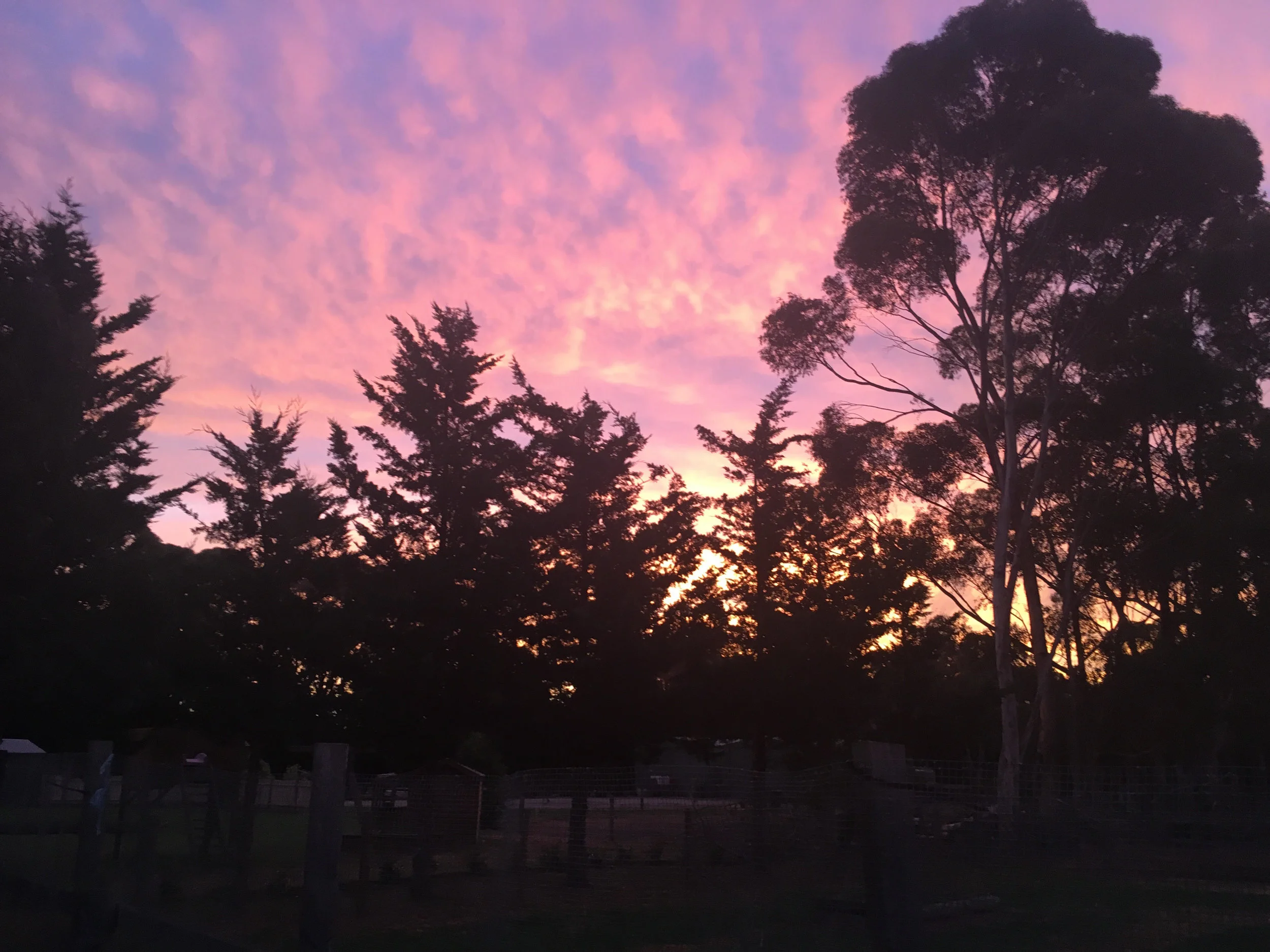 Pakenham sunset. Divine.