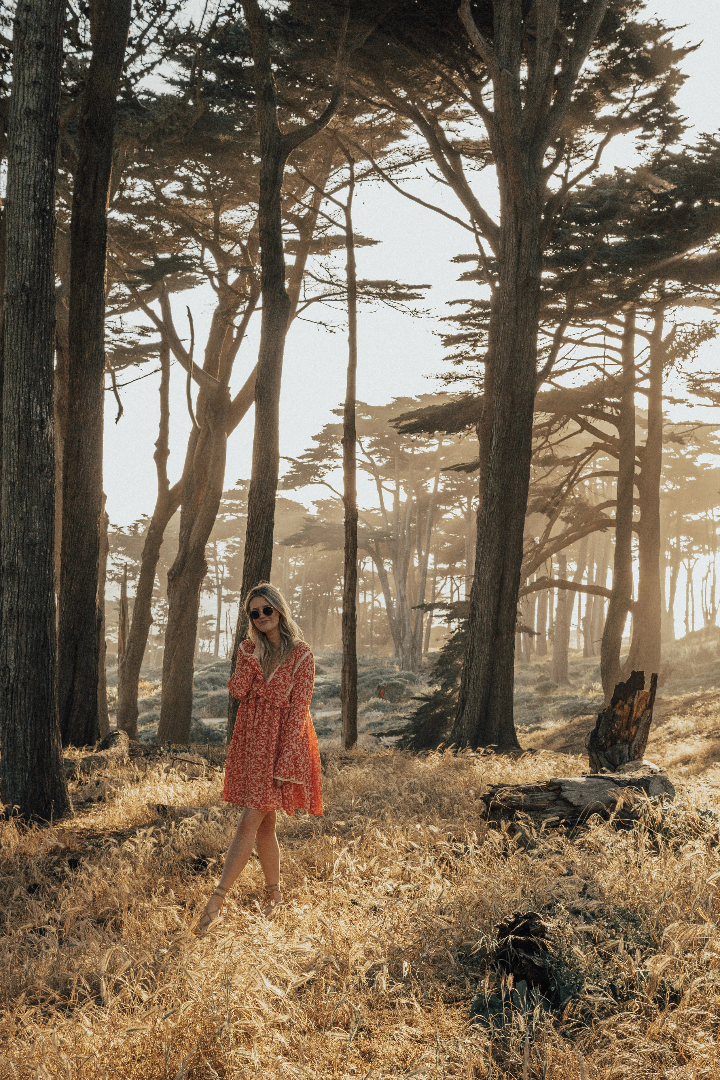 free-people-like-you-best-printed-dress-6.jpg
