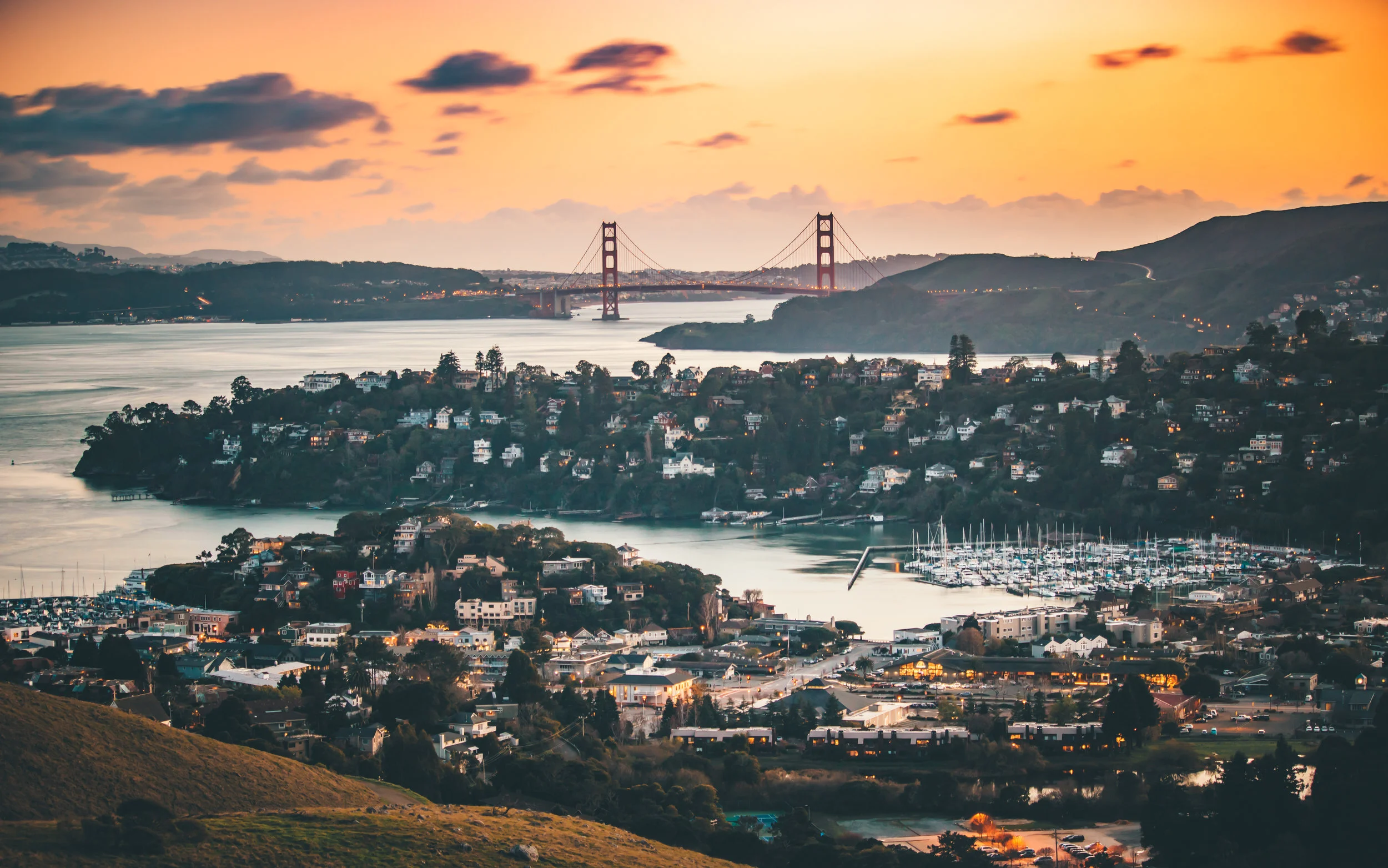 tiburon-double-1.jpg
