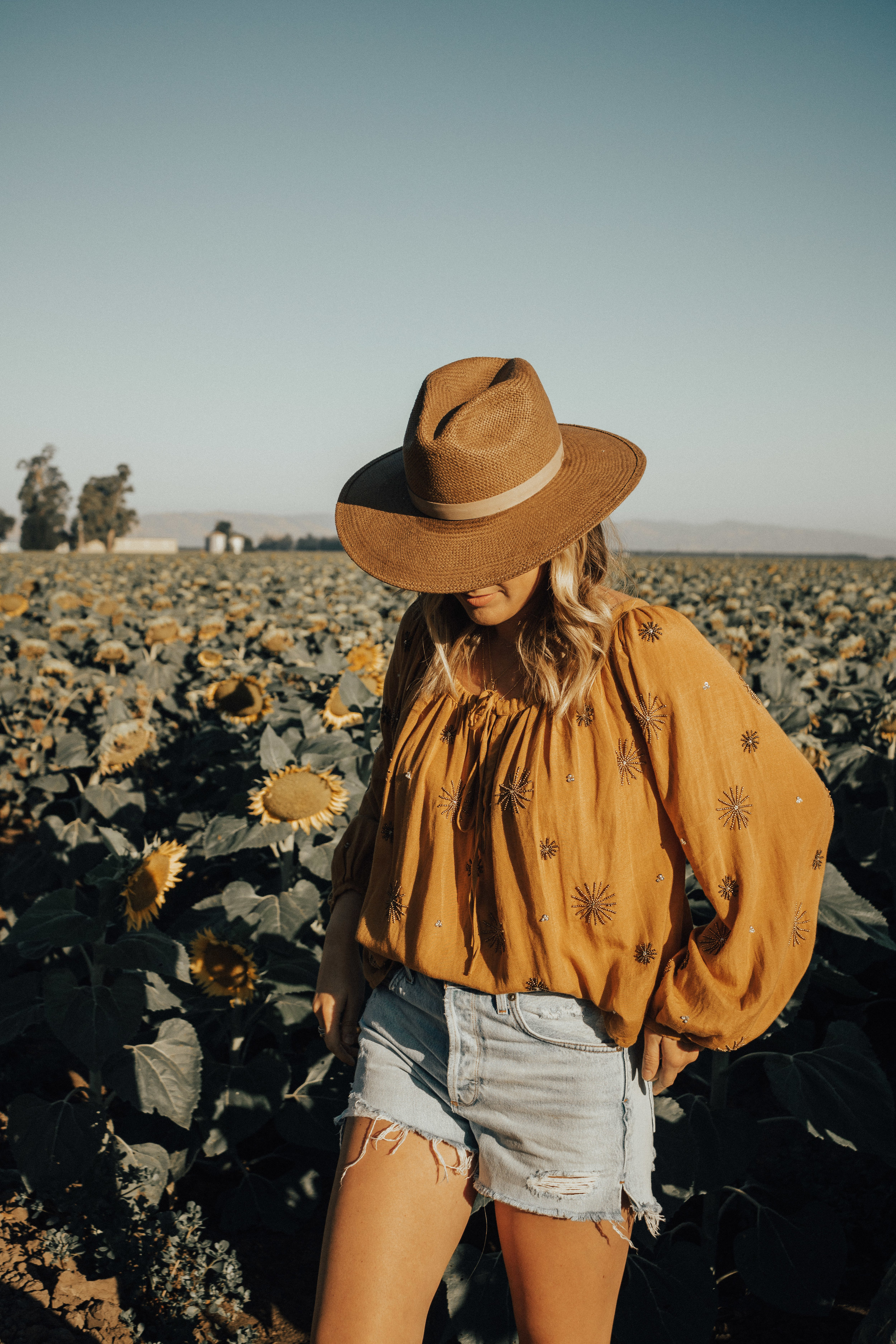 BEST SUNFLOWER FIELD IN NORTHERN CALIFORNIA — THIS + THAT